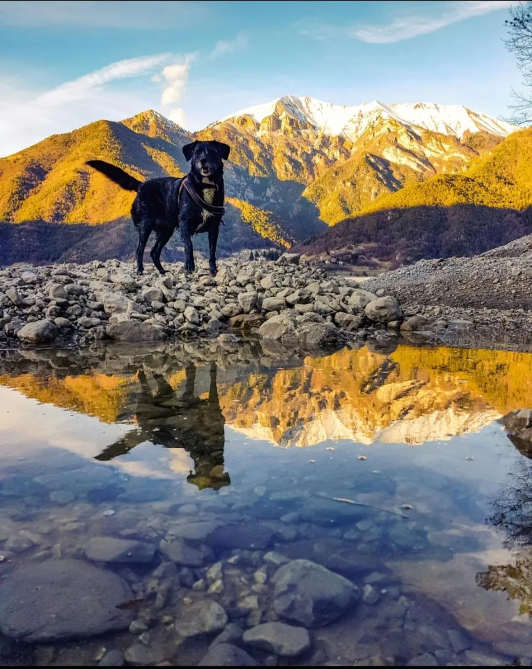 Ledro Lake Suite "Pur"