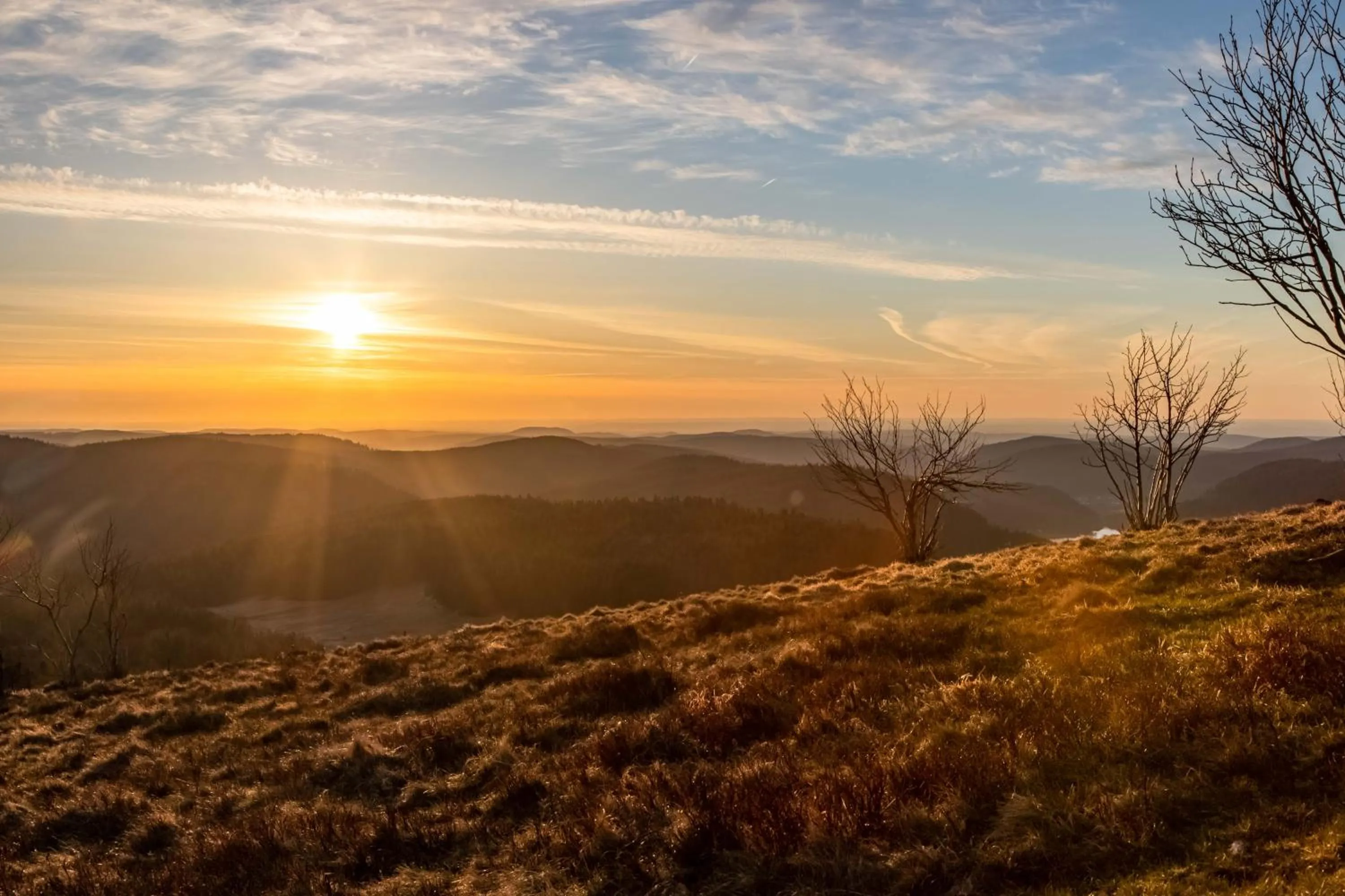 Sunset in Chambres d'hôtes Domaine des Iris