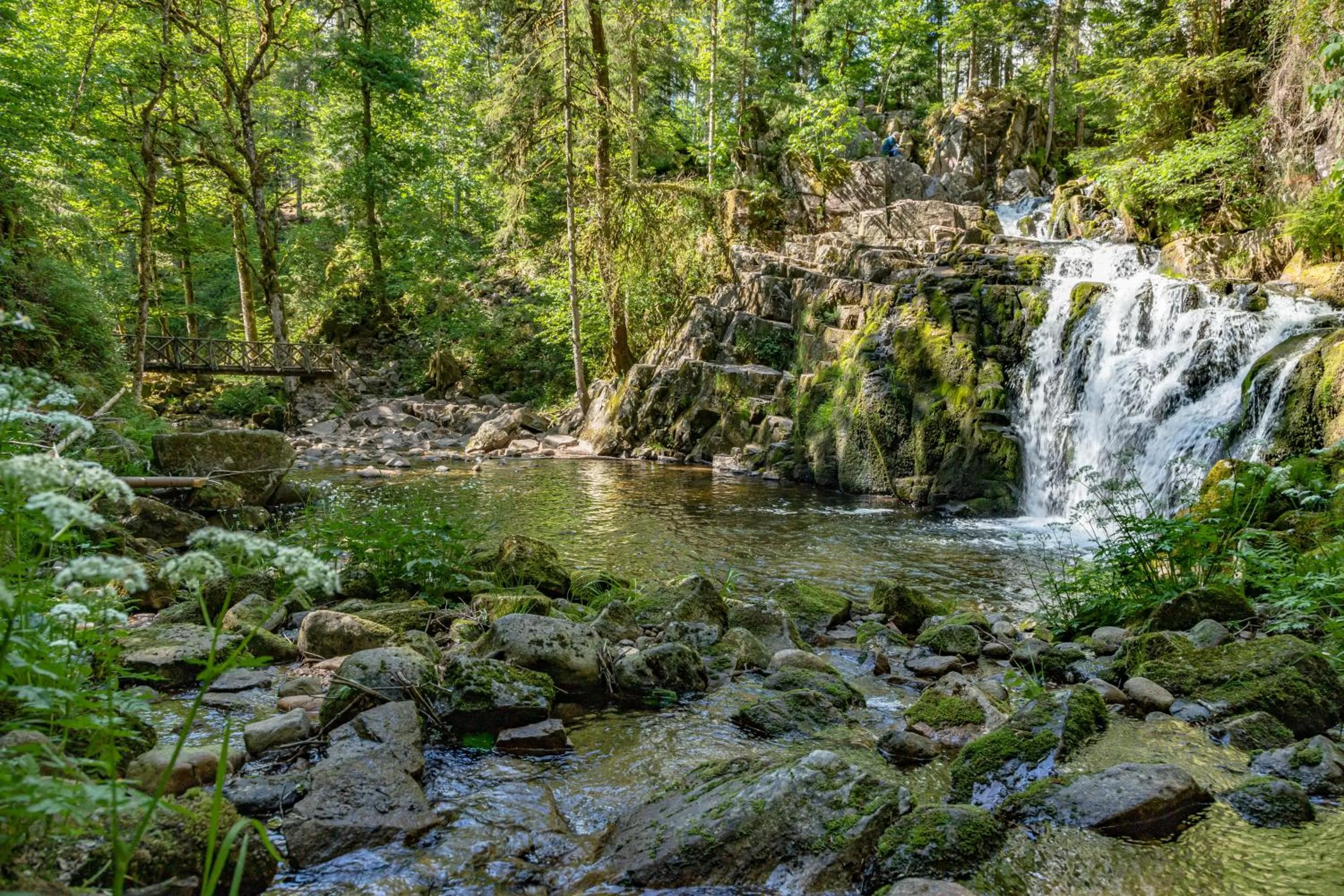 Natural landscape in Chambres d'hôtes Domaine des Iris