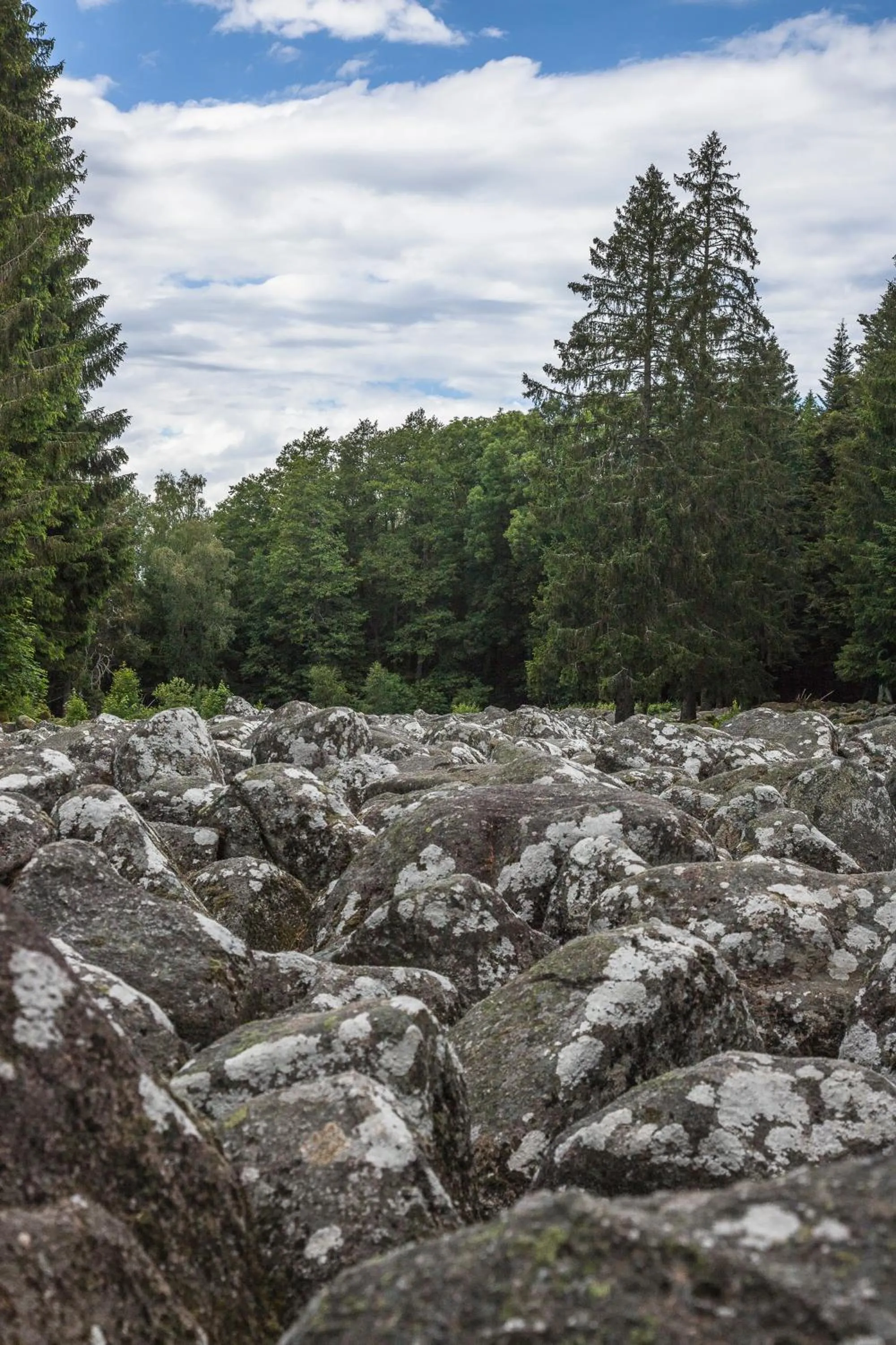 Hiking in Chambres d'hôtes Domaine des Iris