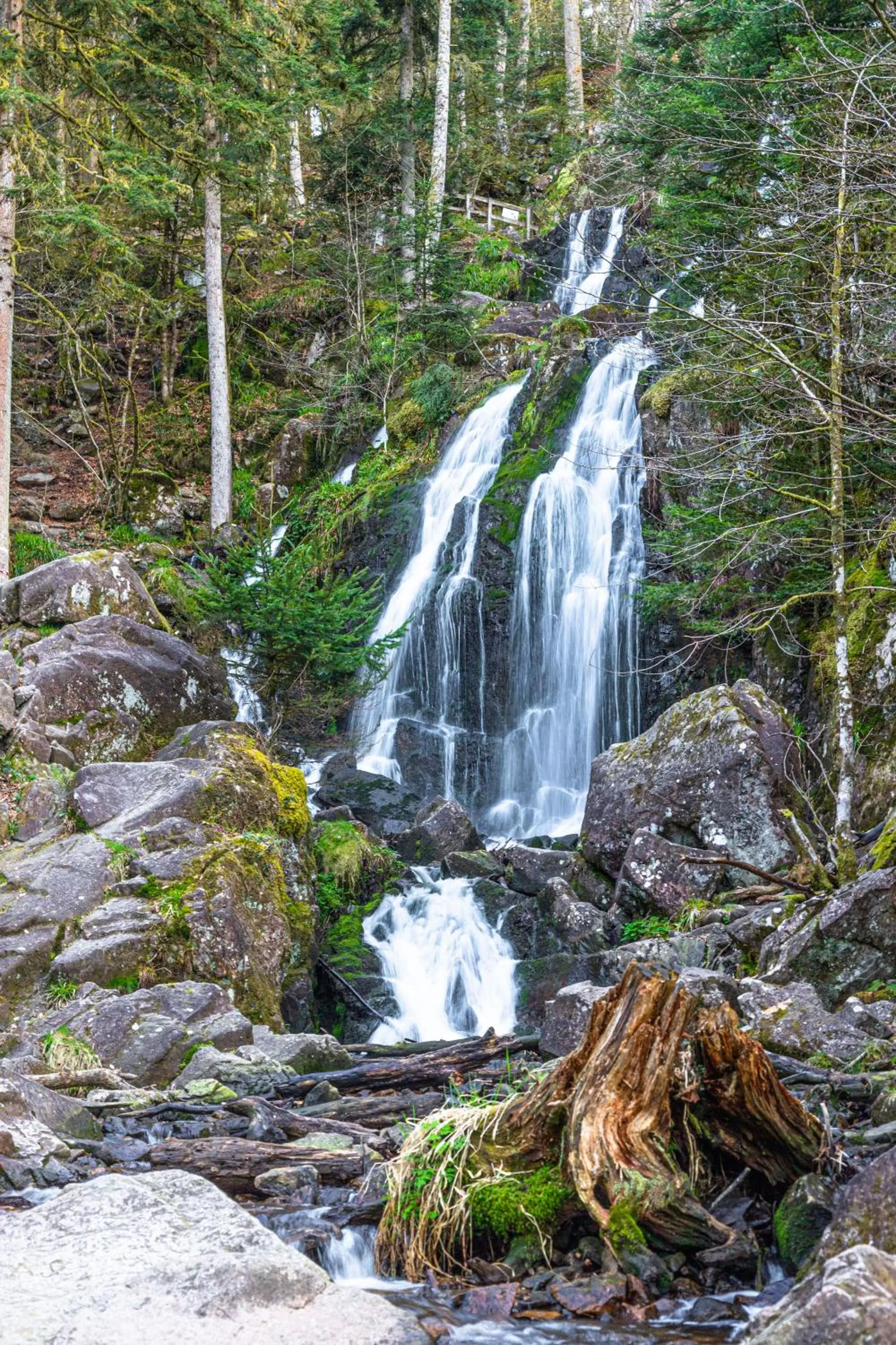 Nearby landmark in Chambres d'hôtes Domaine des Iris