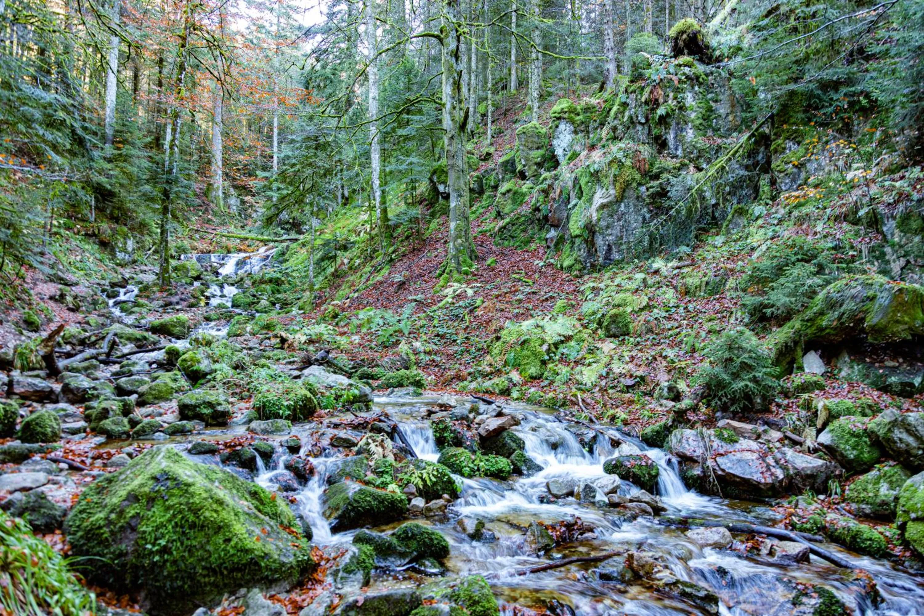 Hiking in Chambres d'hôtes Domaine des Iris