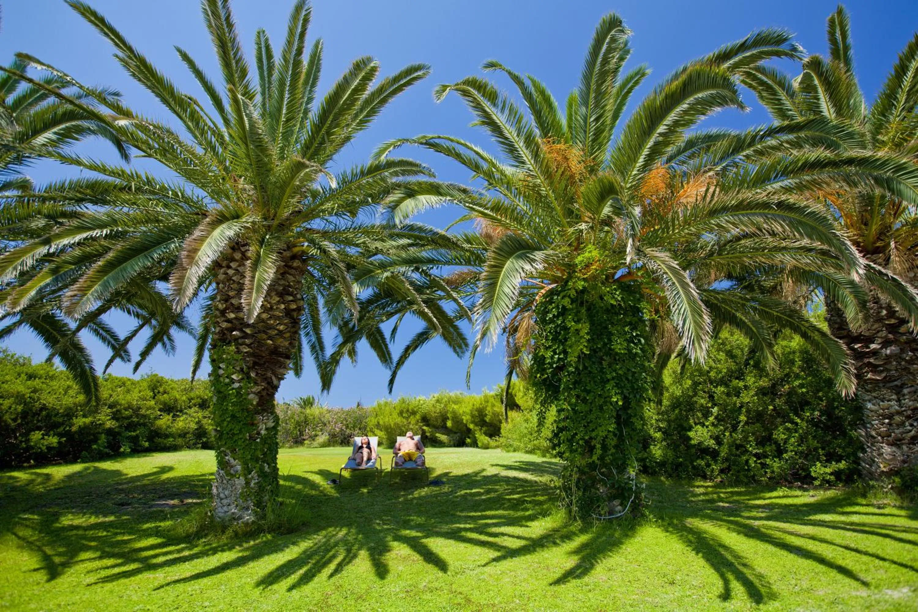 Day in Caravia Beach Hotel