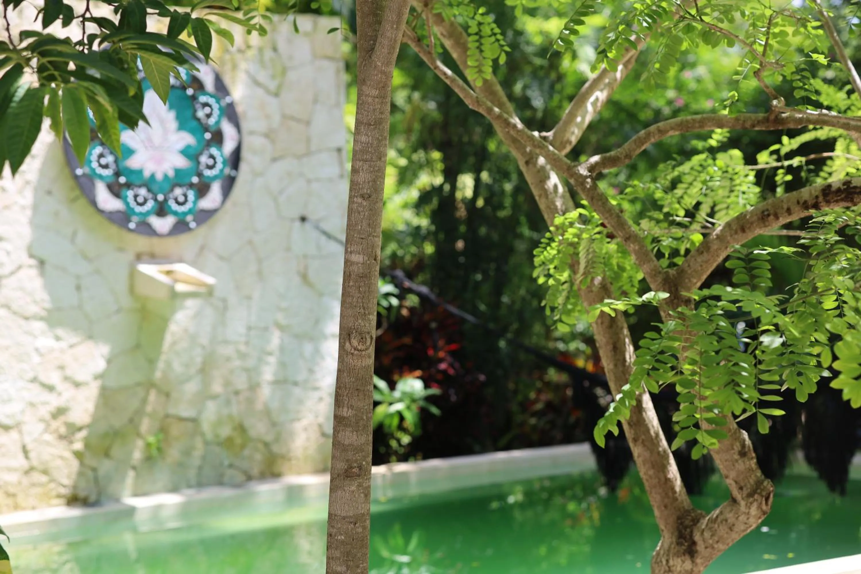 Swimming pool in Huaya Camp