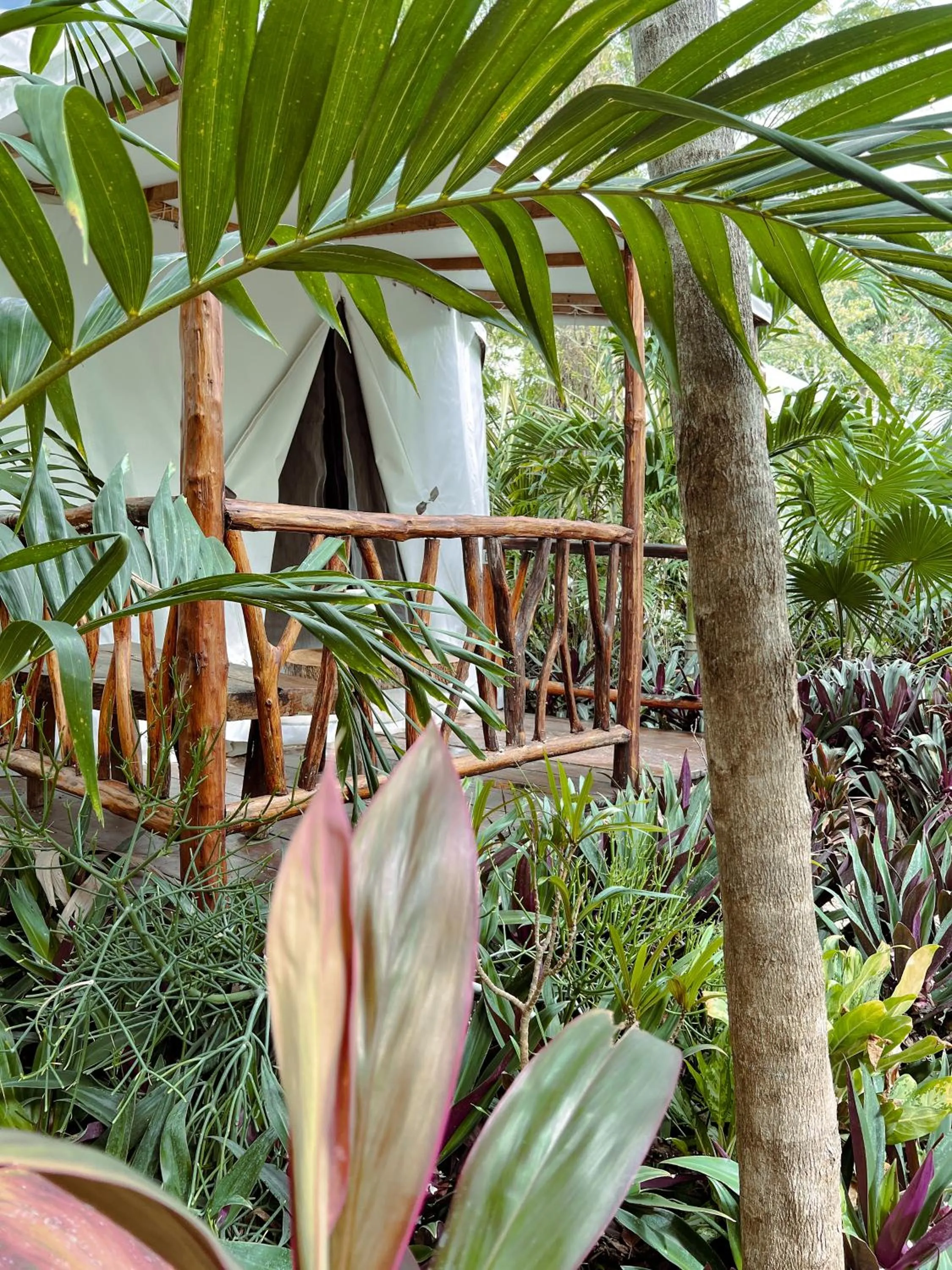 Photo of the whole room in Huaya Camp