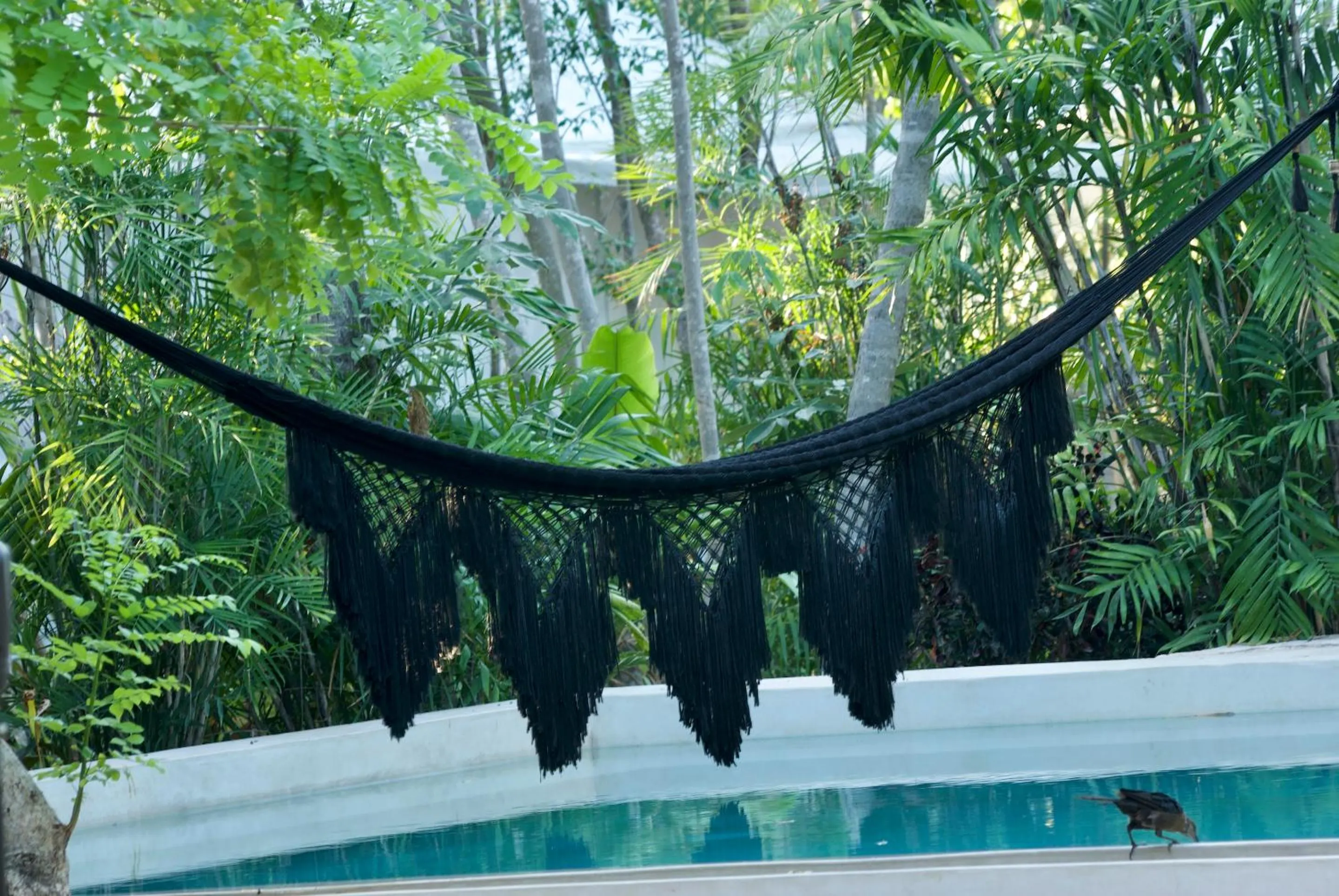 Swimming pool in Huaya Camp