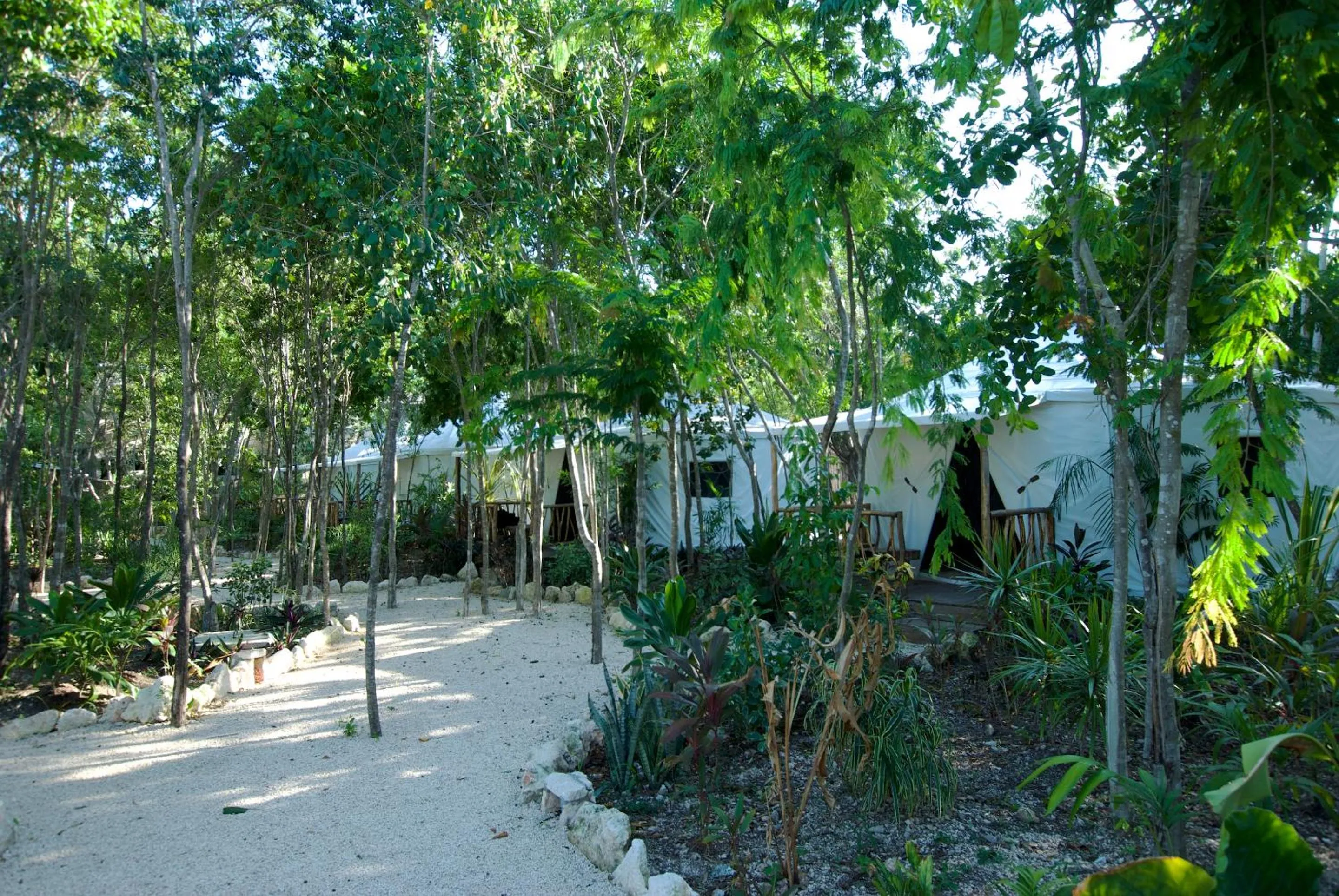 Garden in Huaya Camp