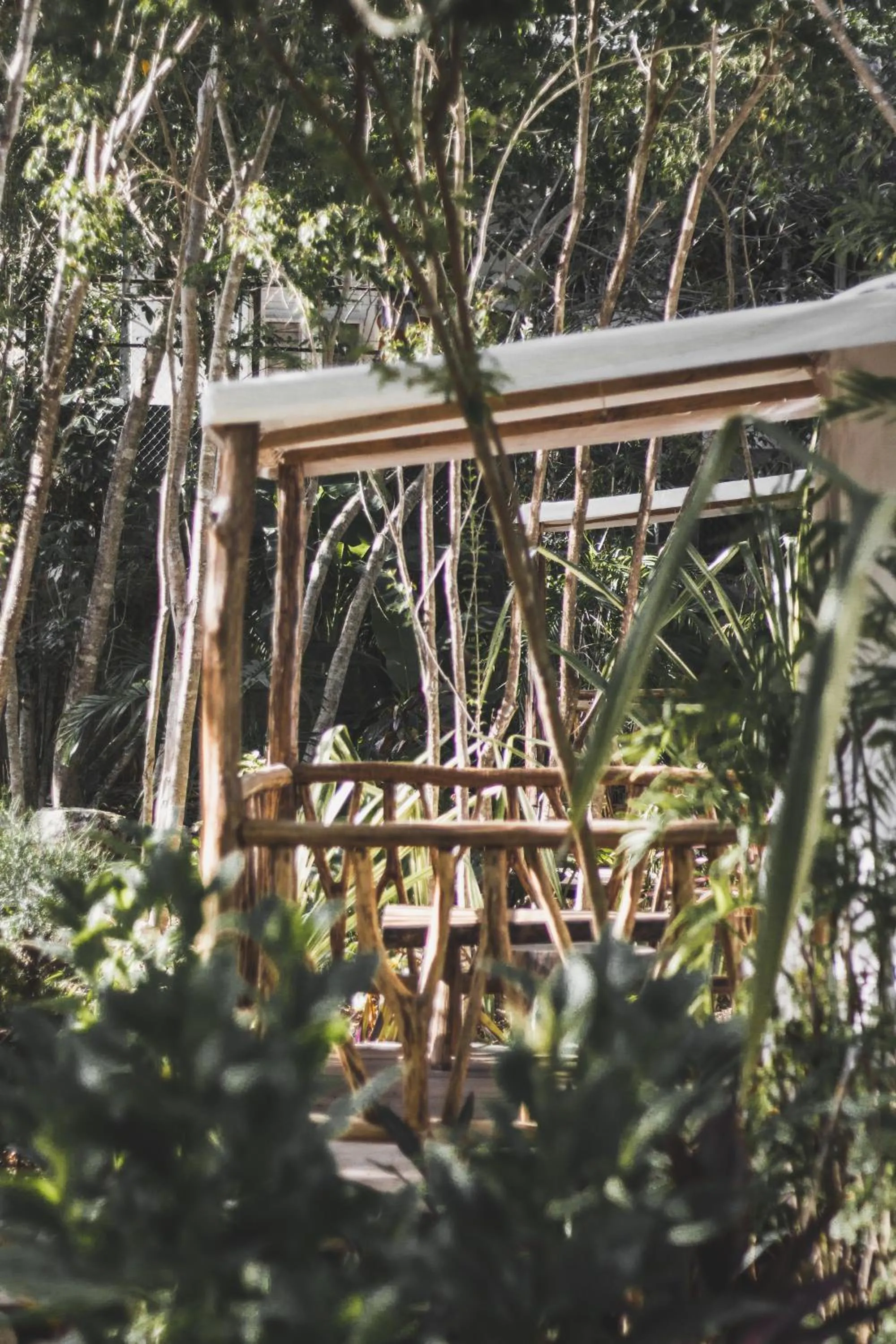 Garden in Huaya Camp