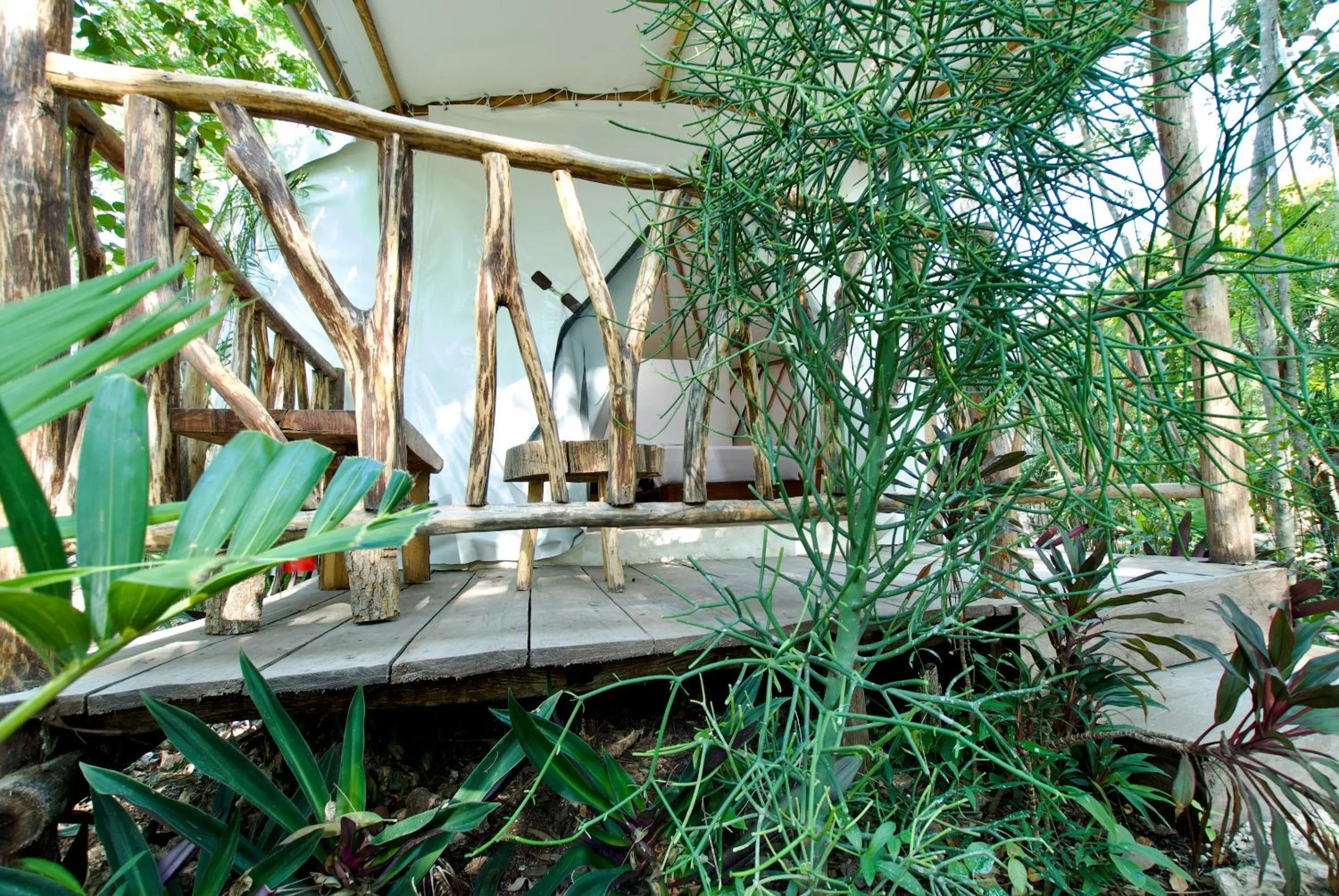 View (from property/room) in Huaya Camp