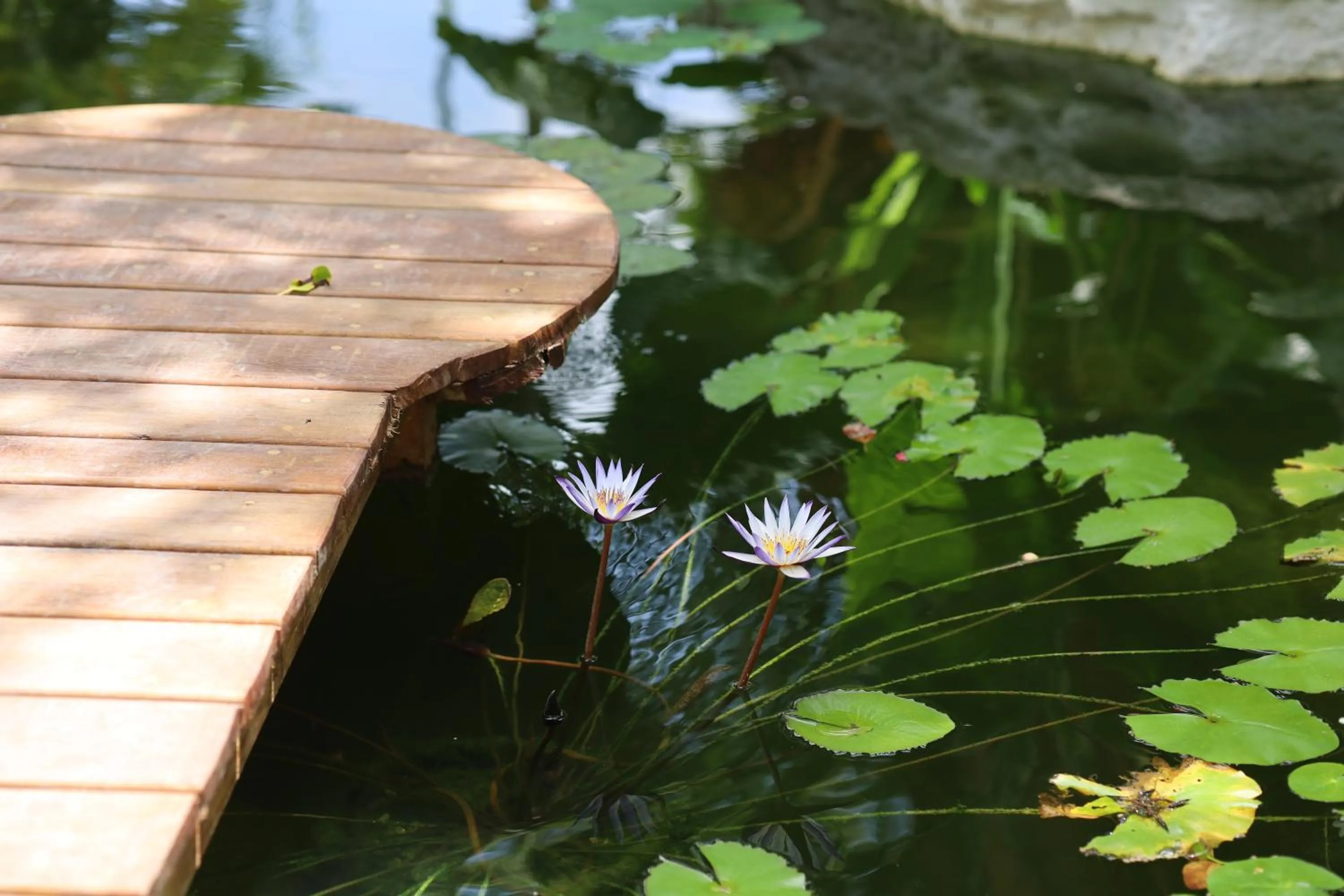 Spa and wellness centre/facilities in Huaya Camp
