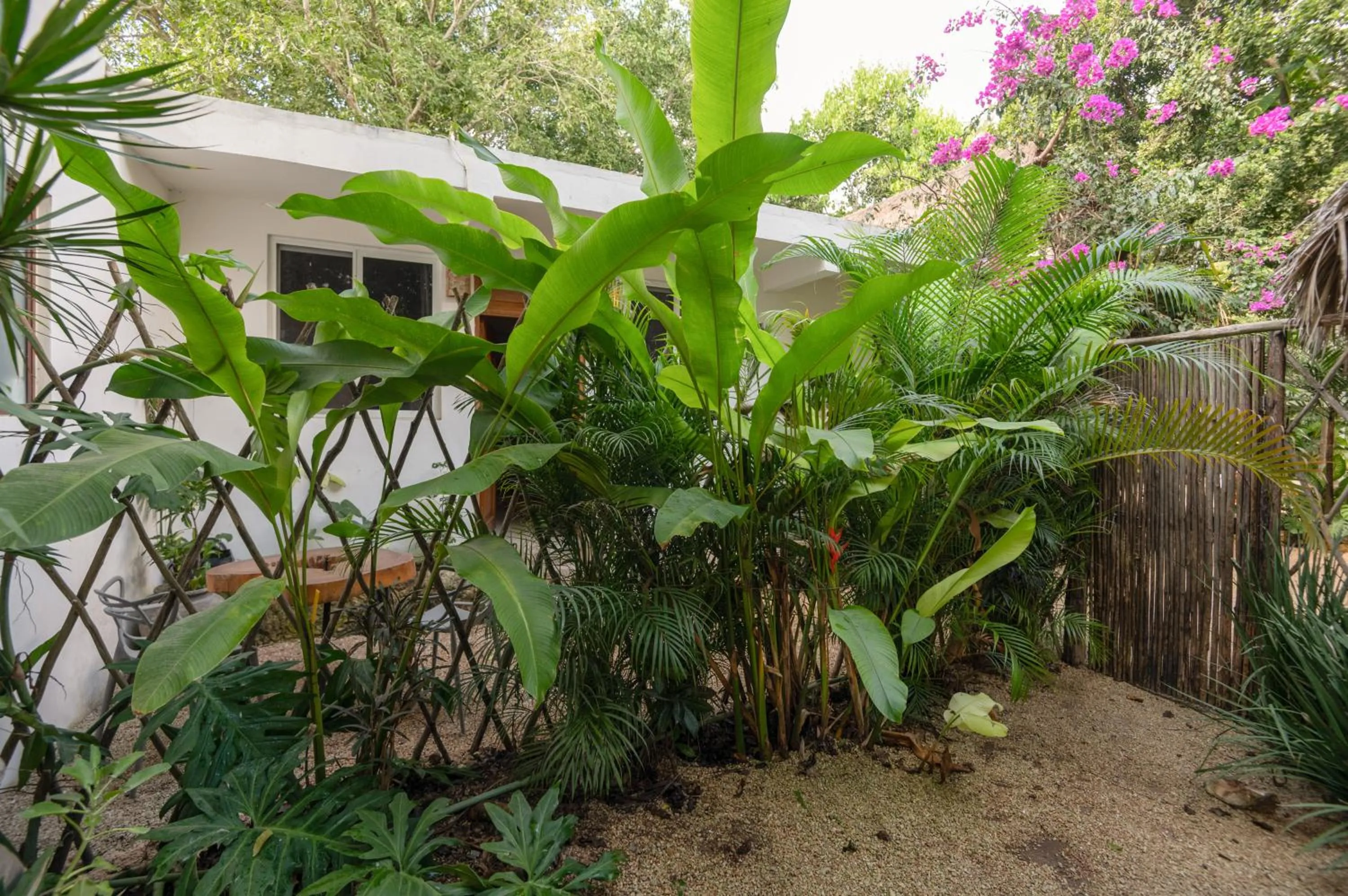 Garden in Huaya Camp