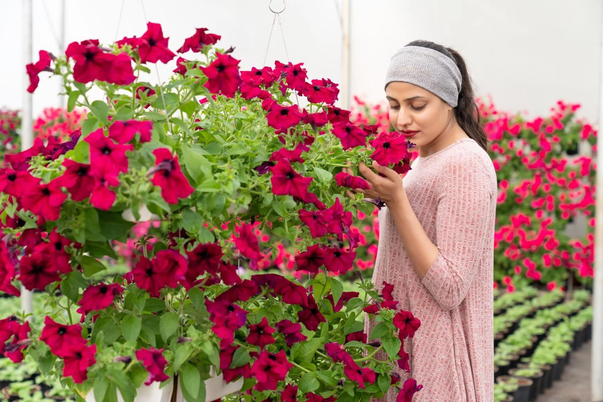Garden in Sunray Village Resort