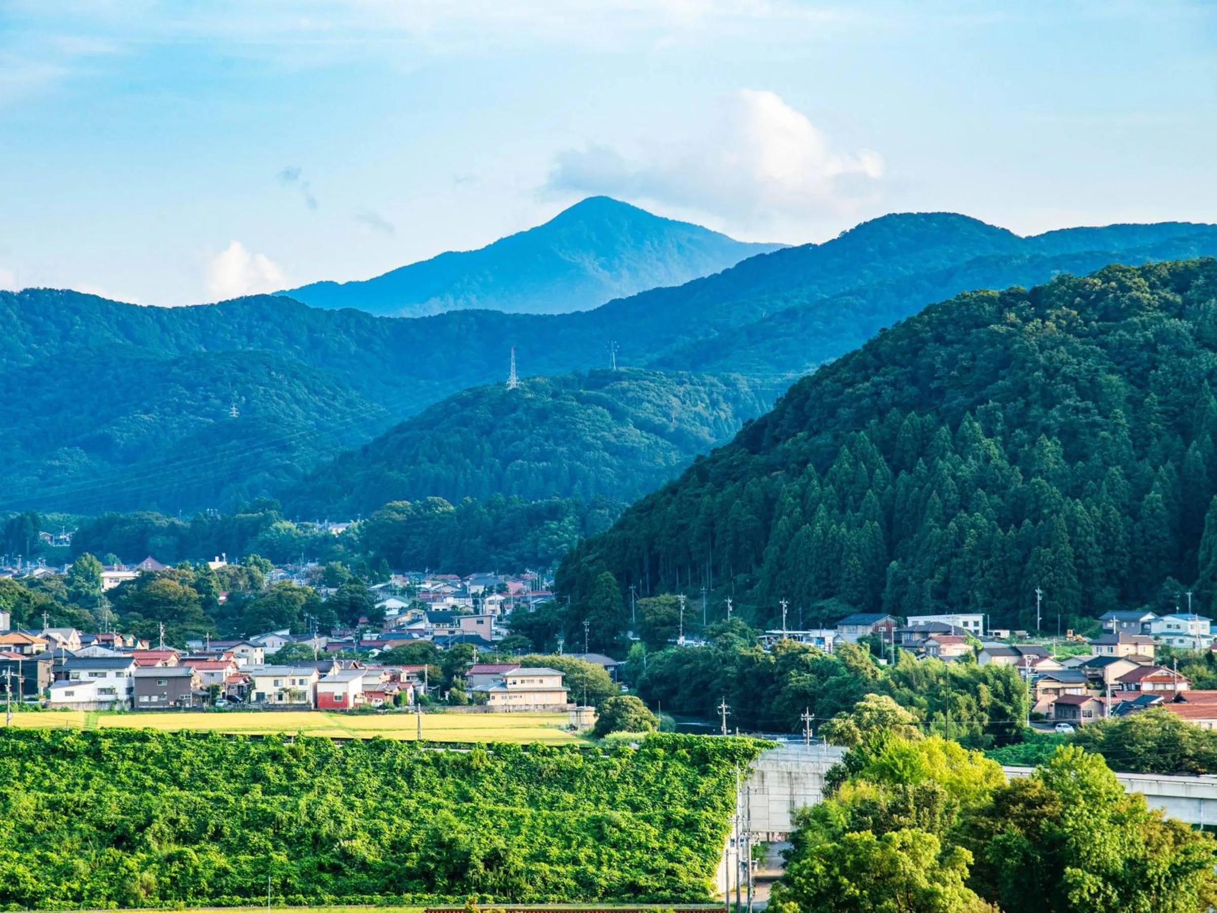 View (from property/room) in Yamashiro Onsen Miyabi no Yado Kaga Hyakumangoku