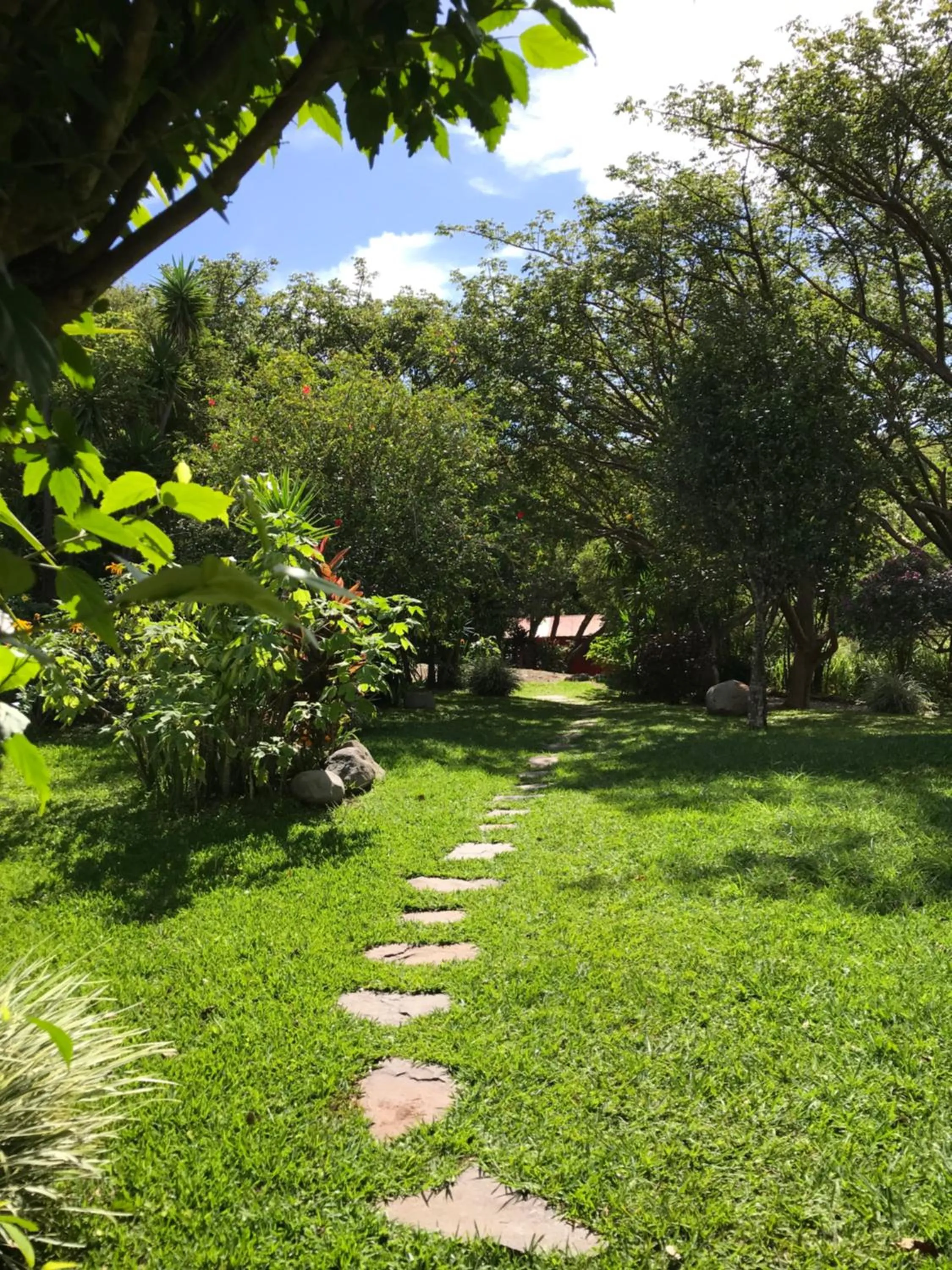 Garden in El Sol Monteverde