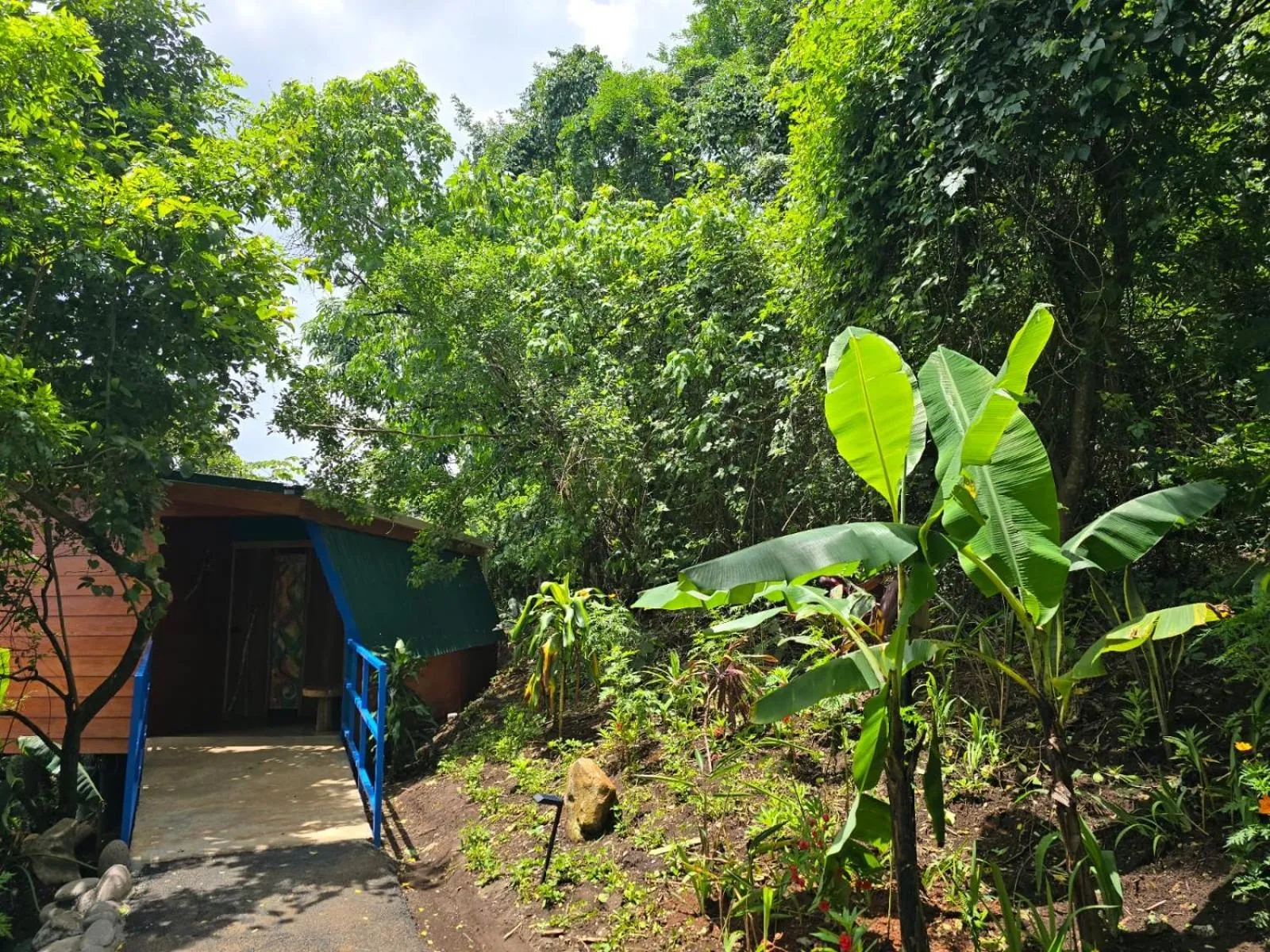 Property building in El Sol Monteverde