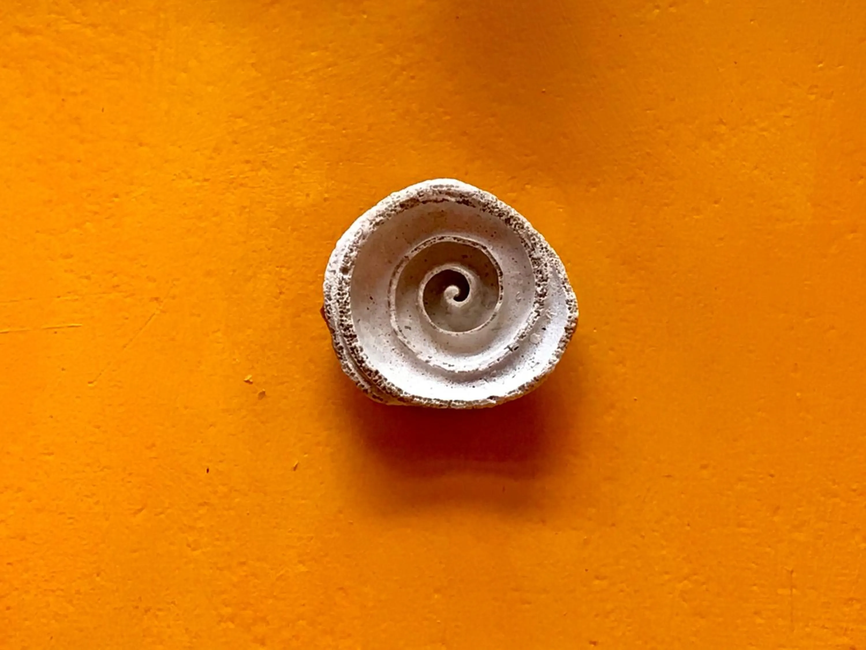 Decorative detail in El Sol Monteverde