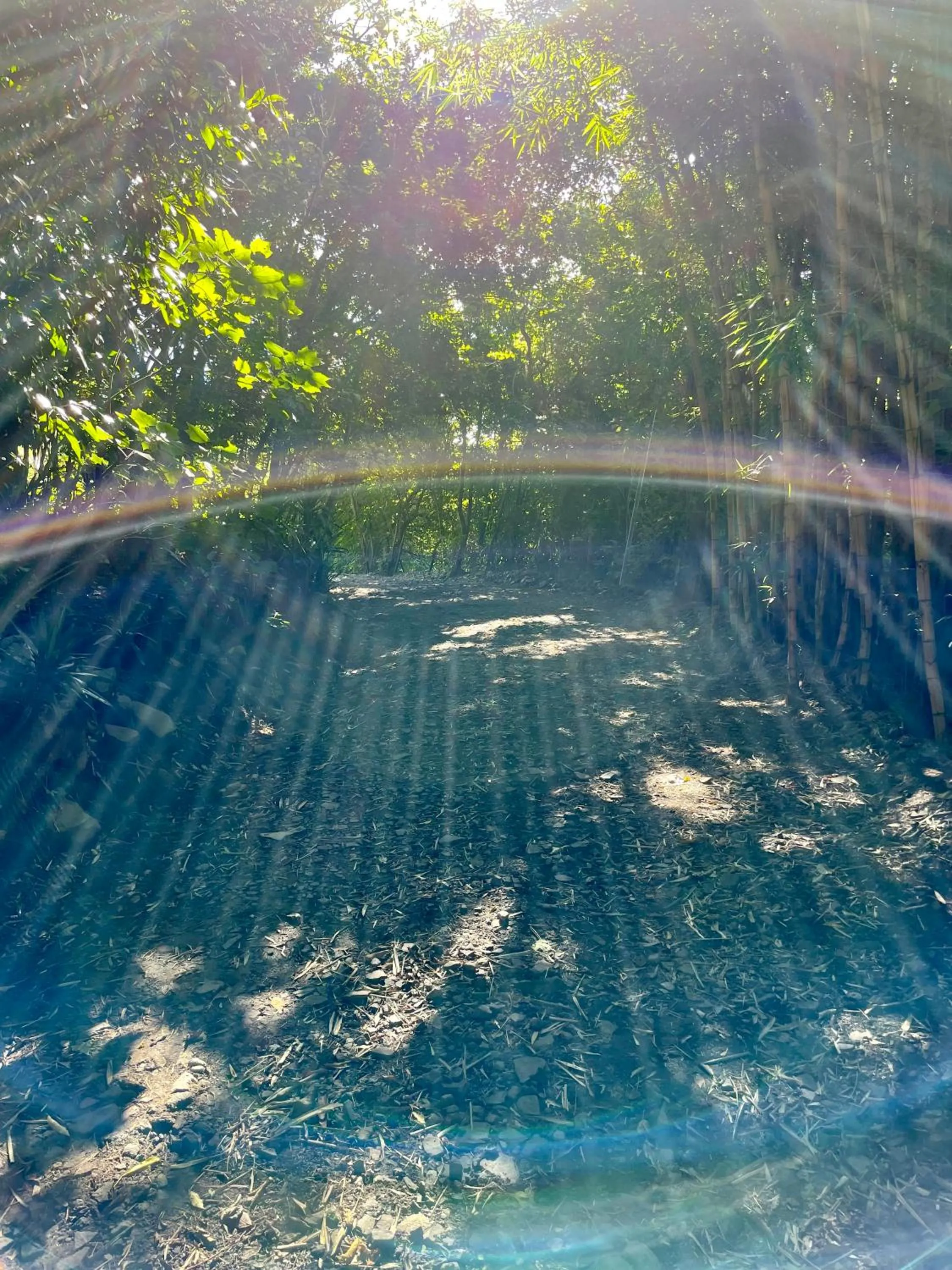 Facade/entrance in El Sol Monteverde