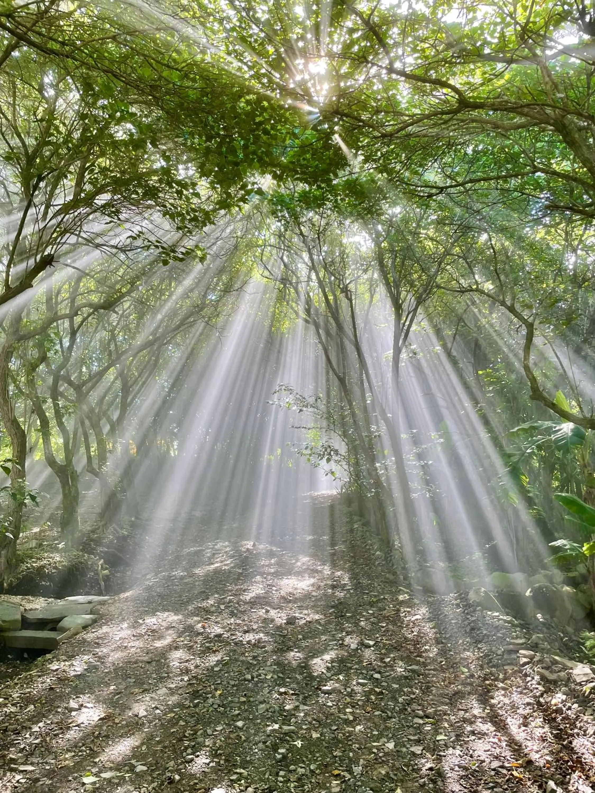 Day in El Sol Monteverde