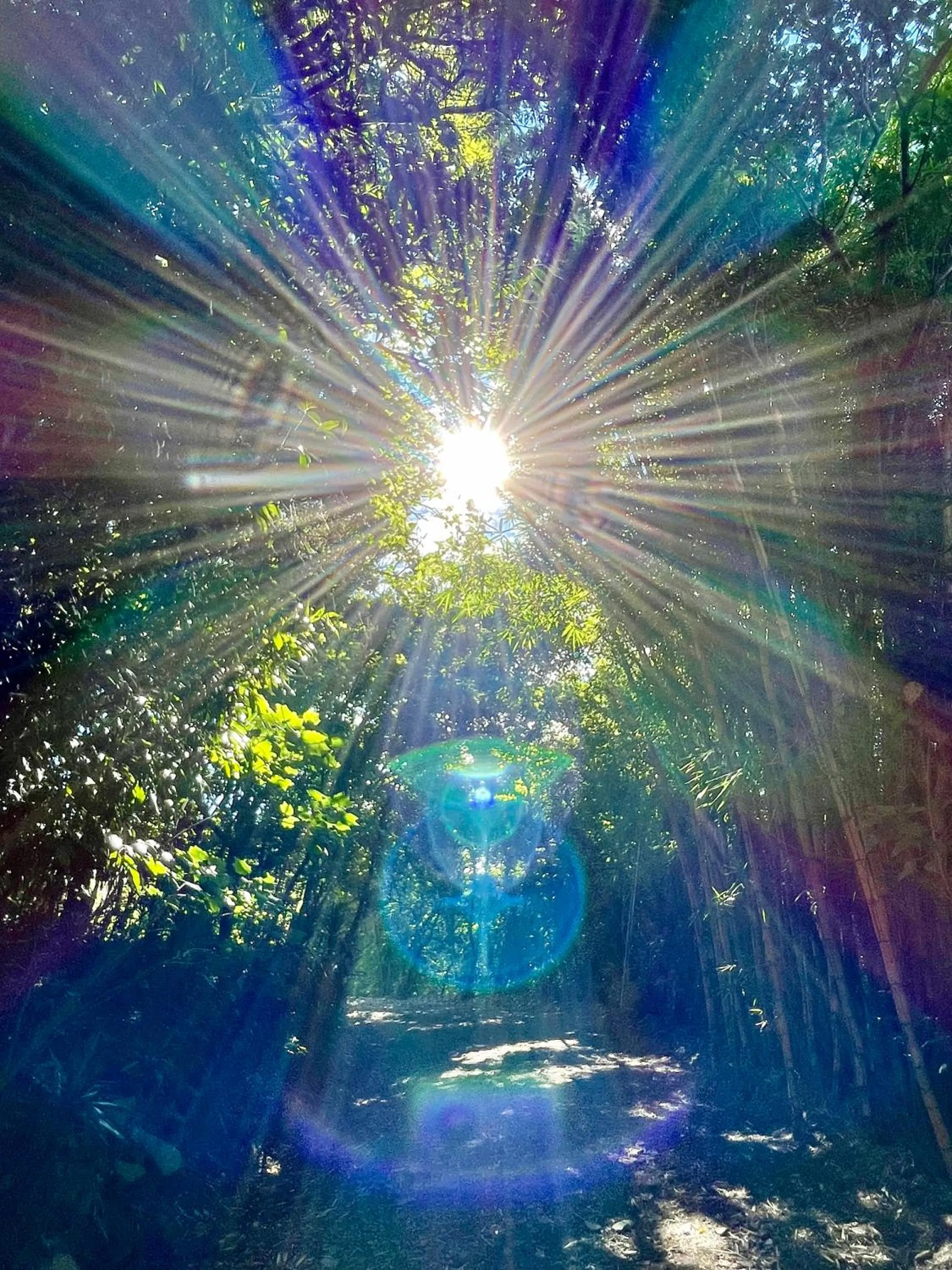 Garden in El Sol Monteverde