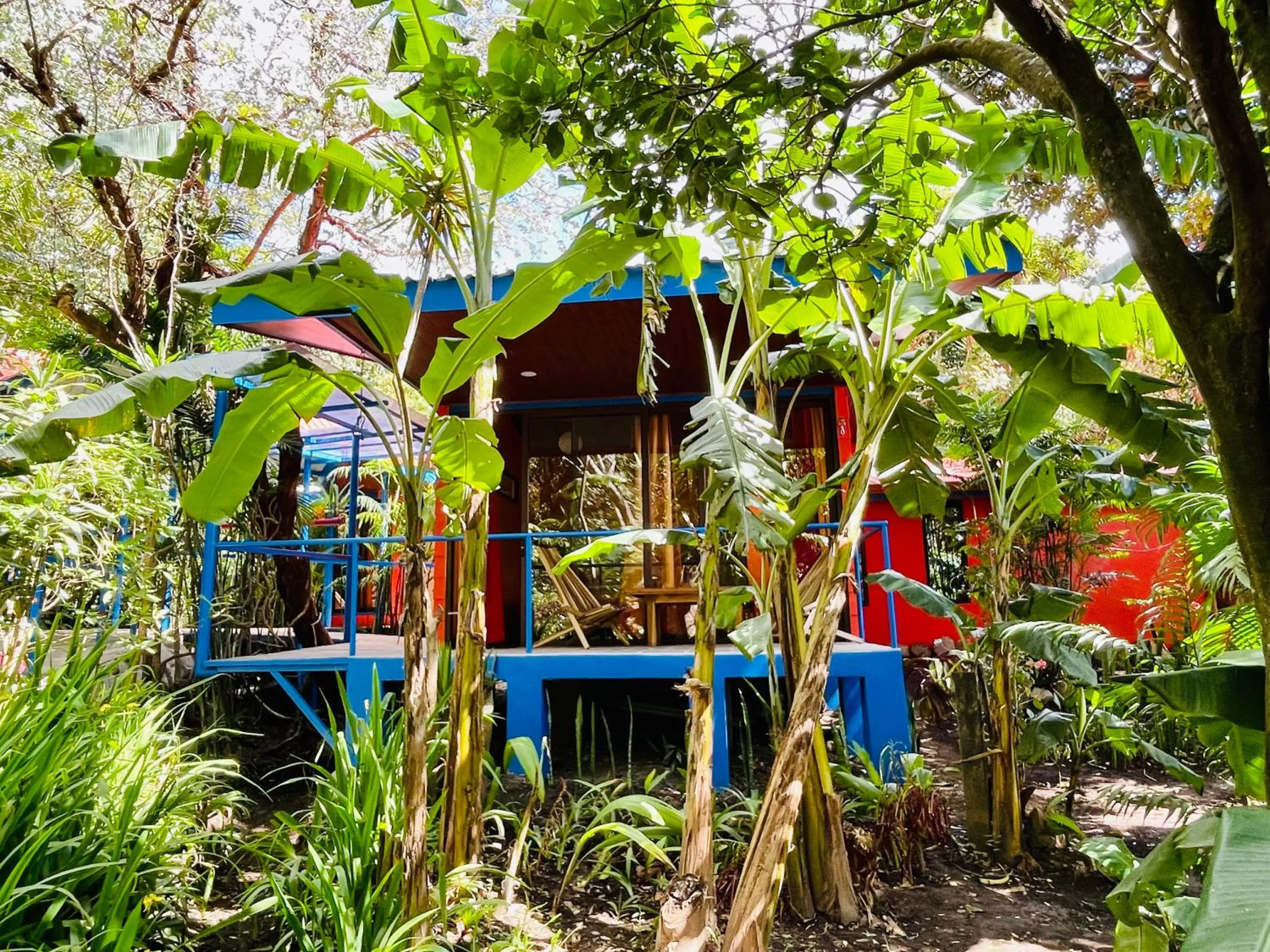 Garden in El Sol Monteverde