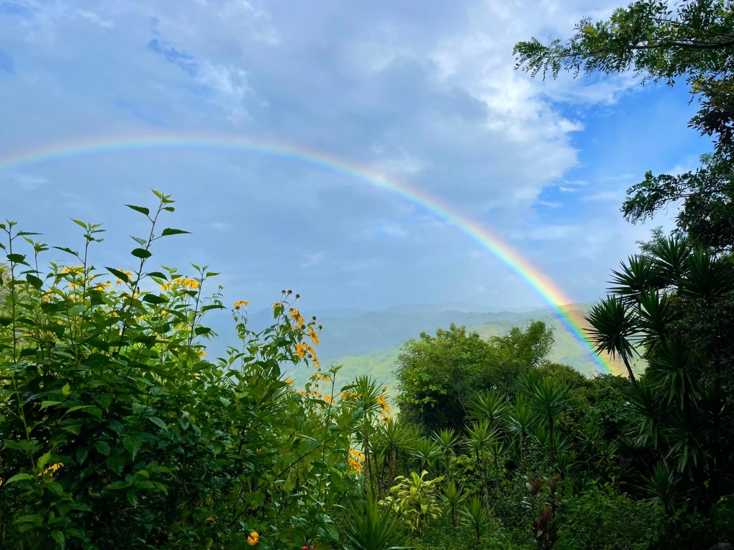 Mountain view in El Sol Monteverde