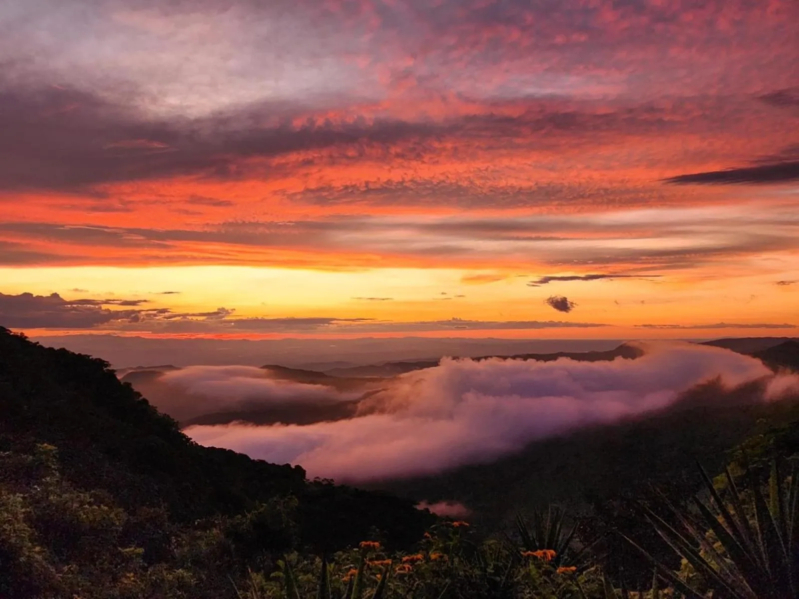 Natural landscape in El Sol Monteverde