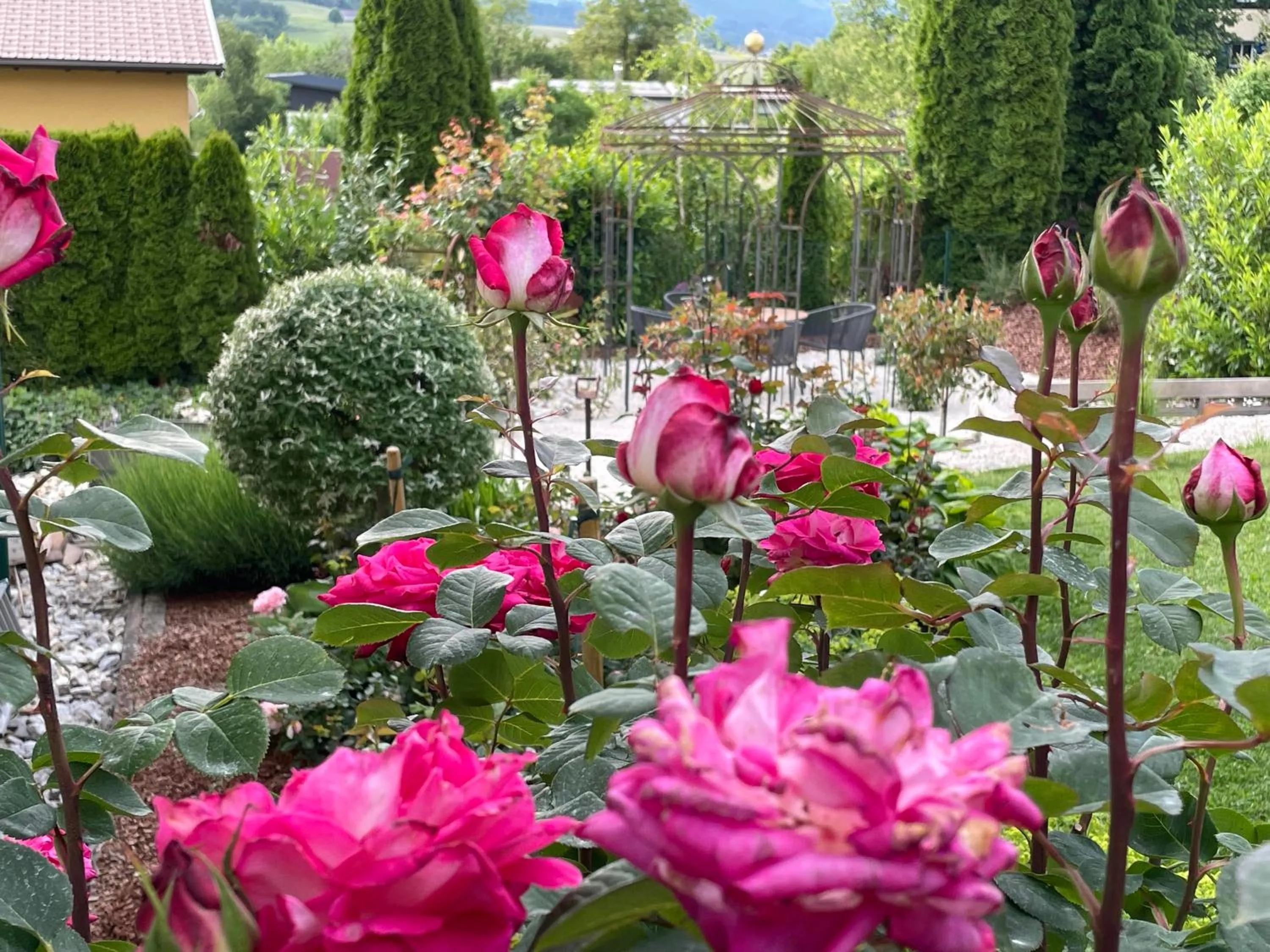 Garden in Bed and Breakfast Mittelkärnten