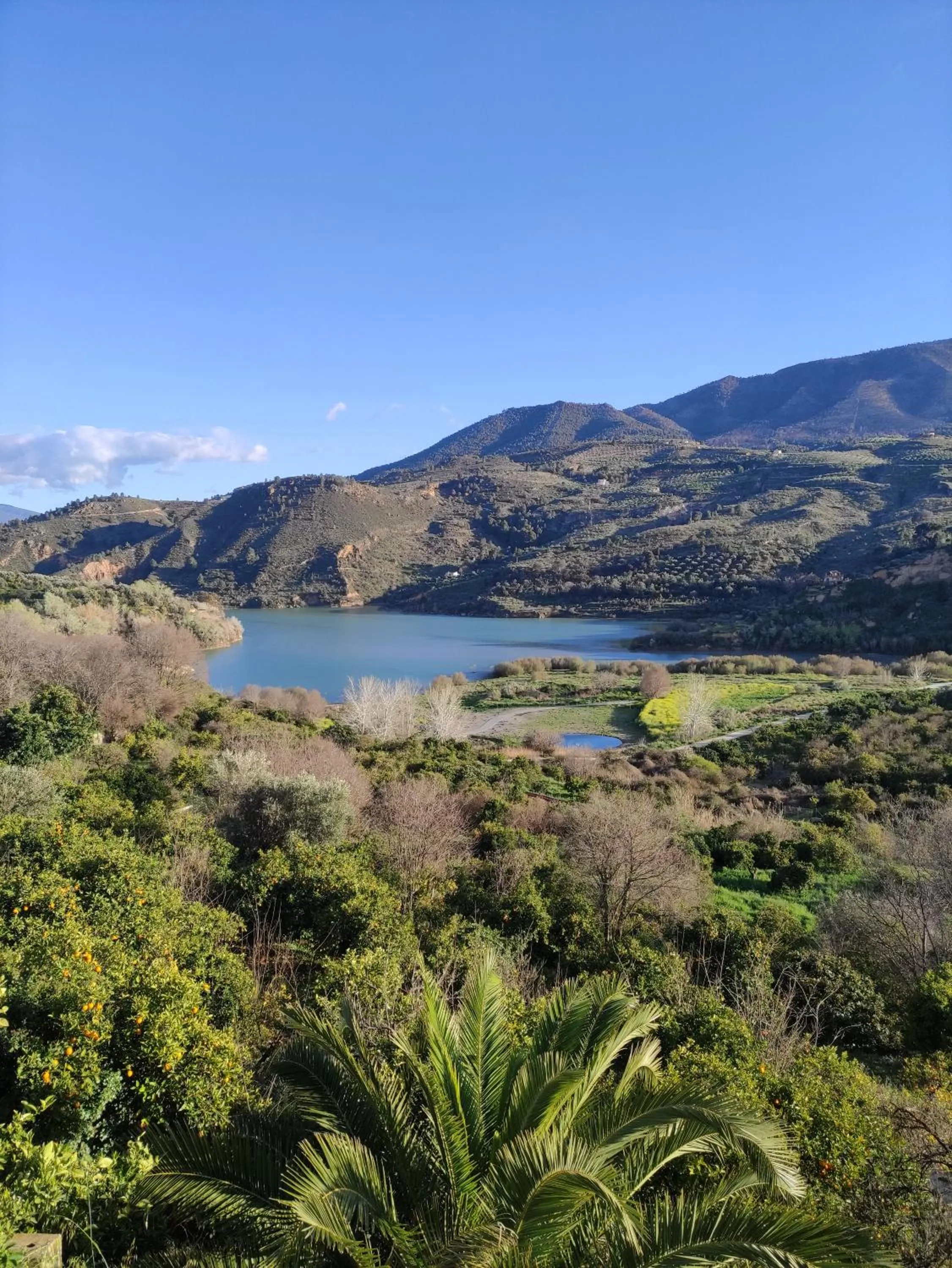 Lake view in Hostal y Apartamento Rural Los Naranjos
