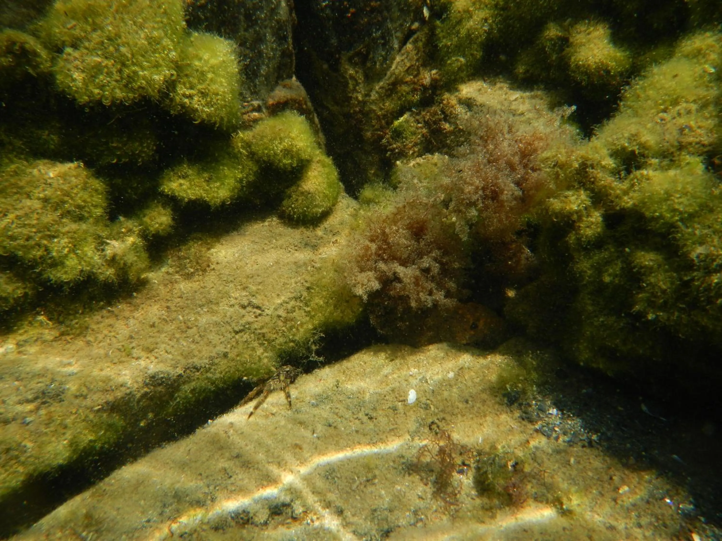 Area and facilities in The Colourful Mansion Hotel