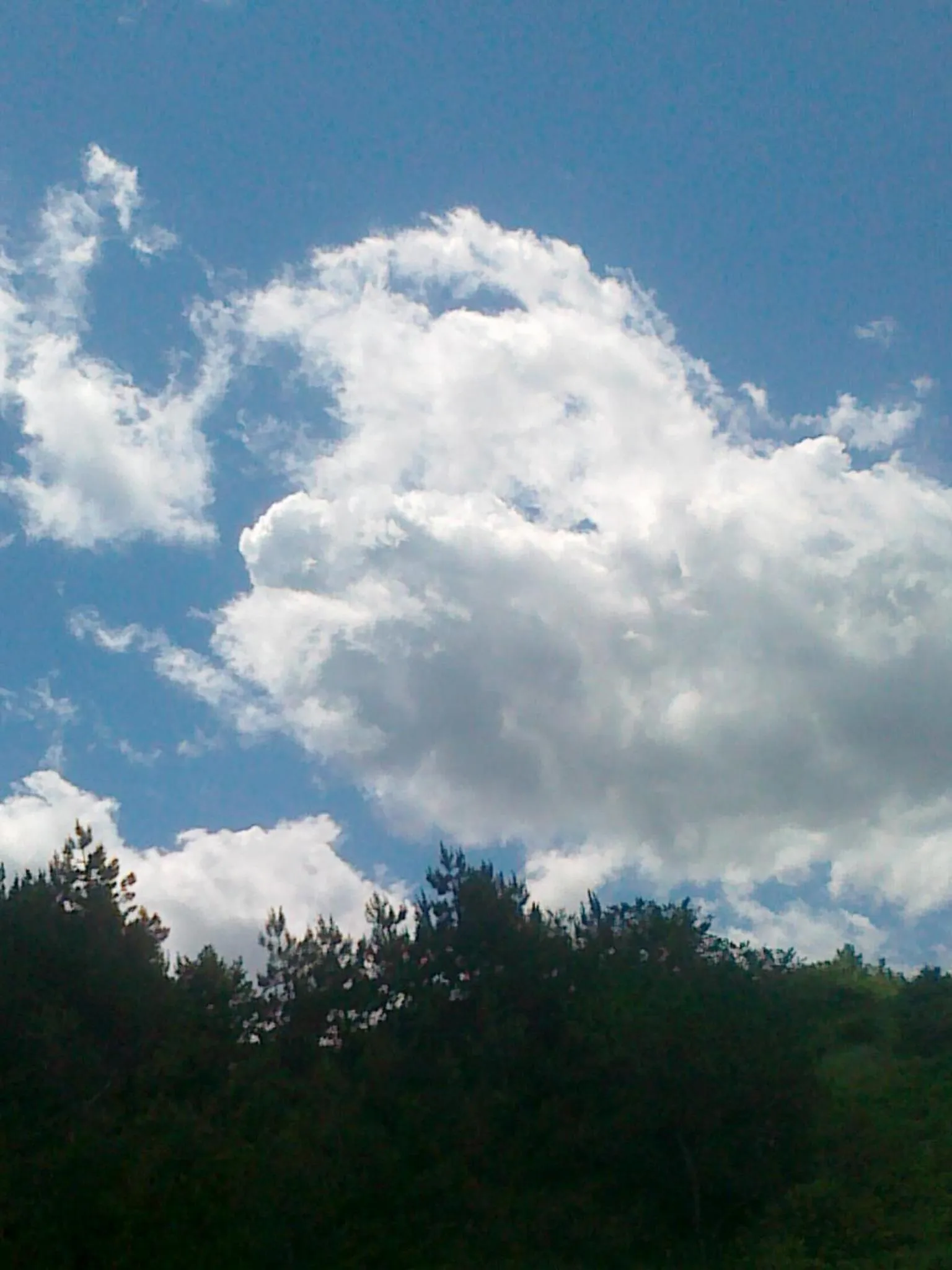 Natural landscape in The Colourful Mansion Hotel