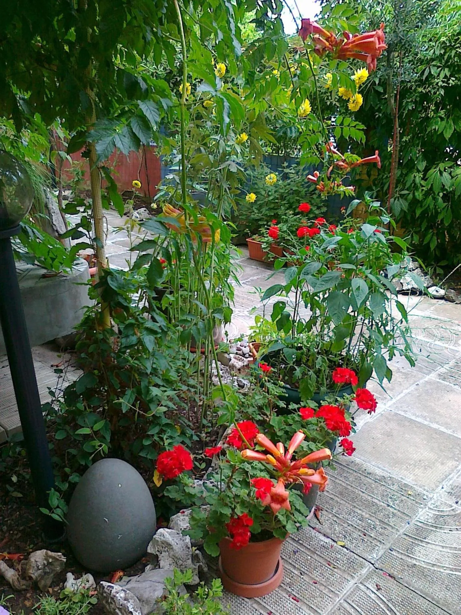 Garden in The Colourful Mansion Hotel