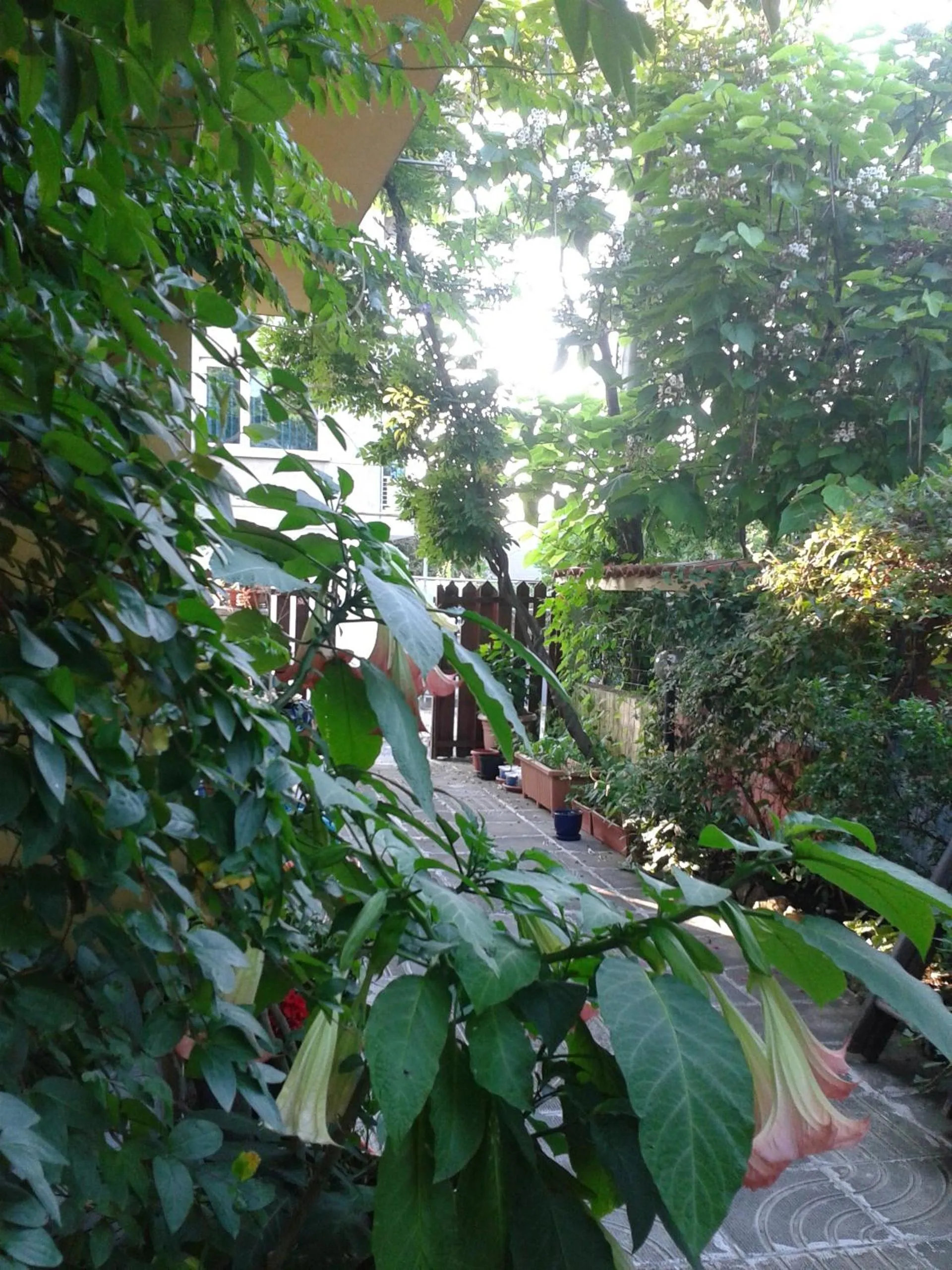 Garden in The Colourful Mansion Hotel