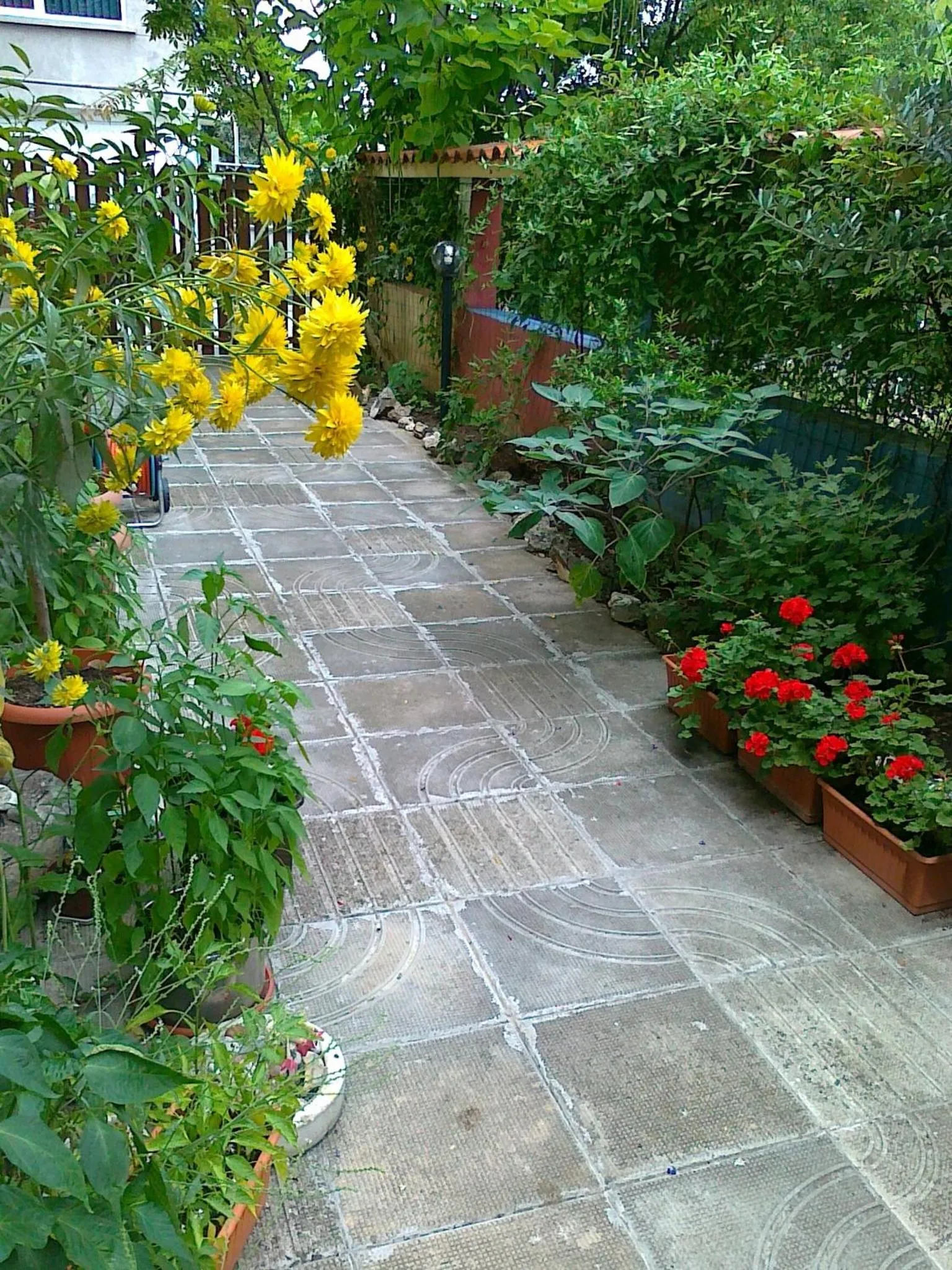 Garden in The Colourful Mansion Hotel
