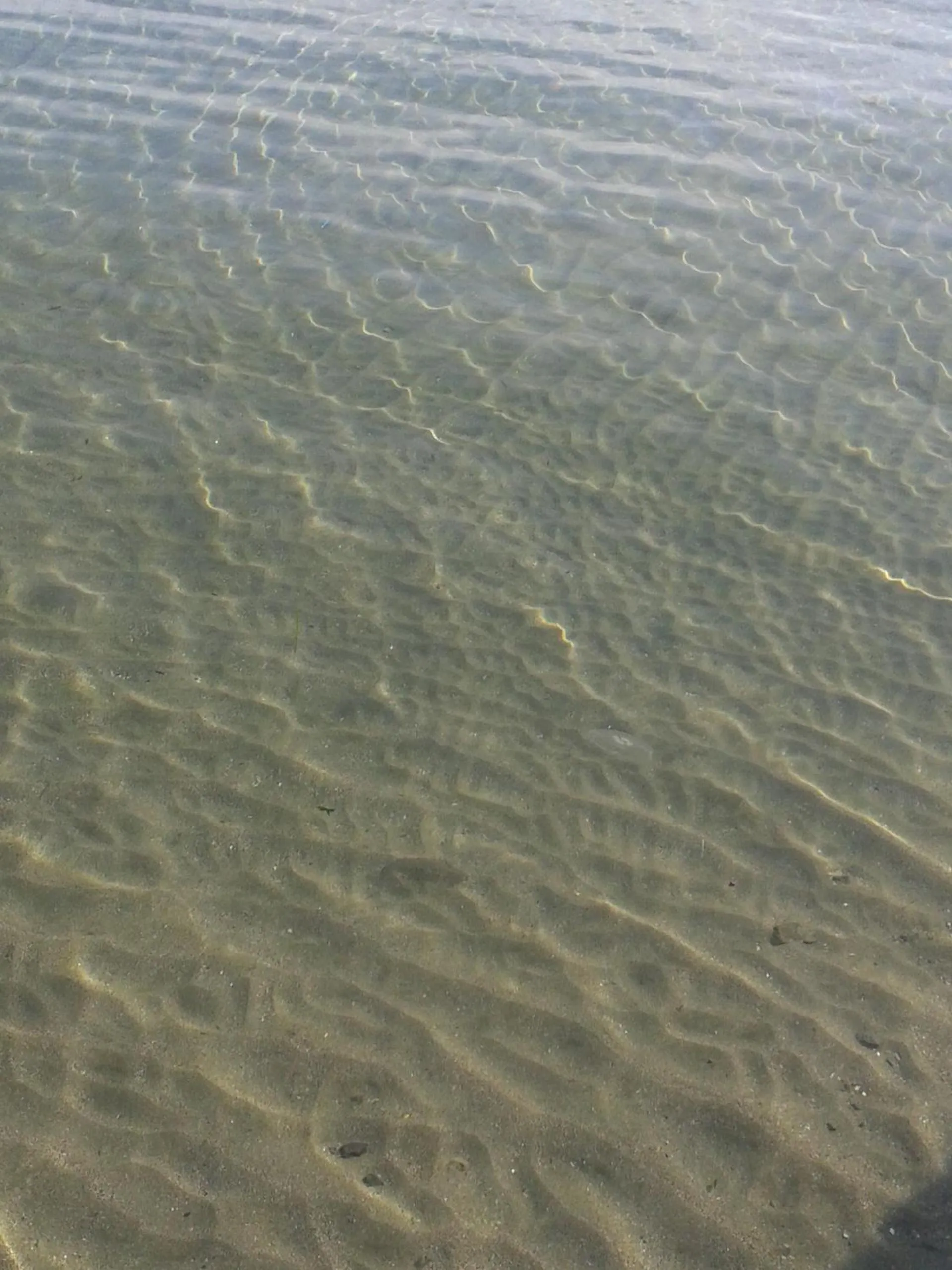 Beach in The Colourful Mansion Hotel