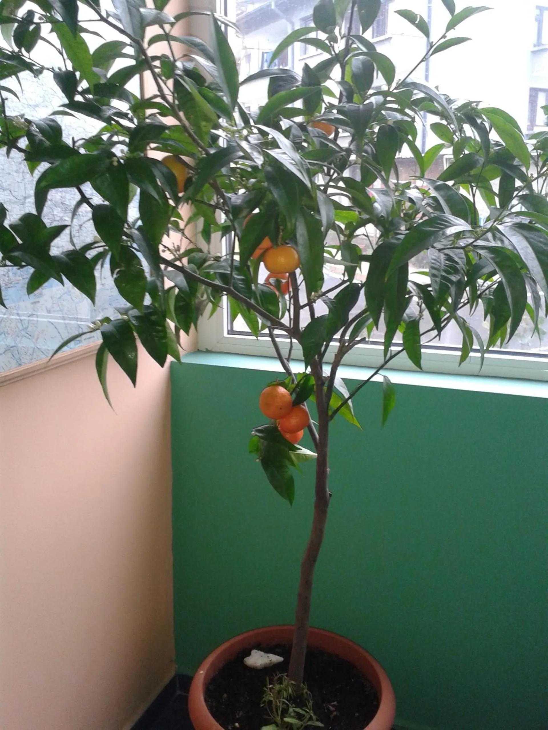 Decorative detail in The Colourful Mansion Hotel