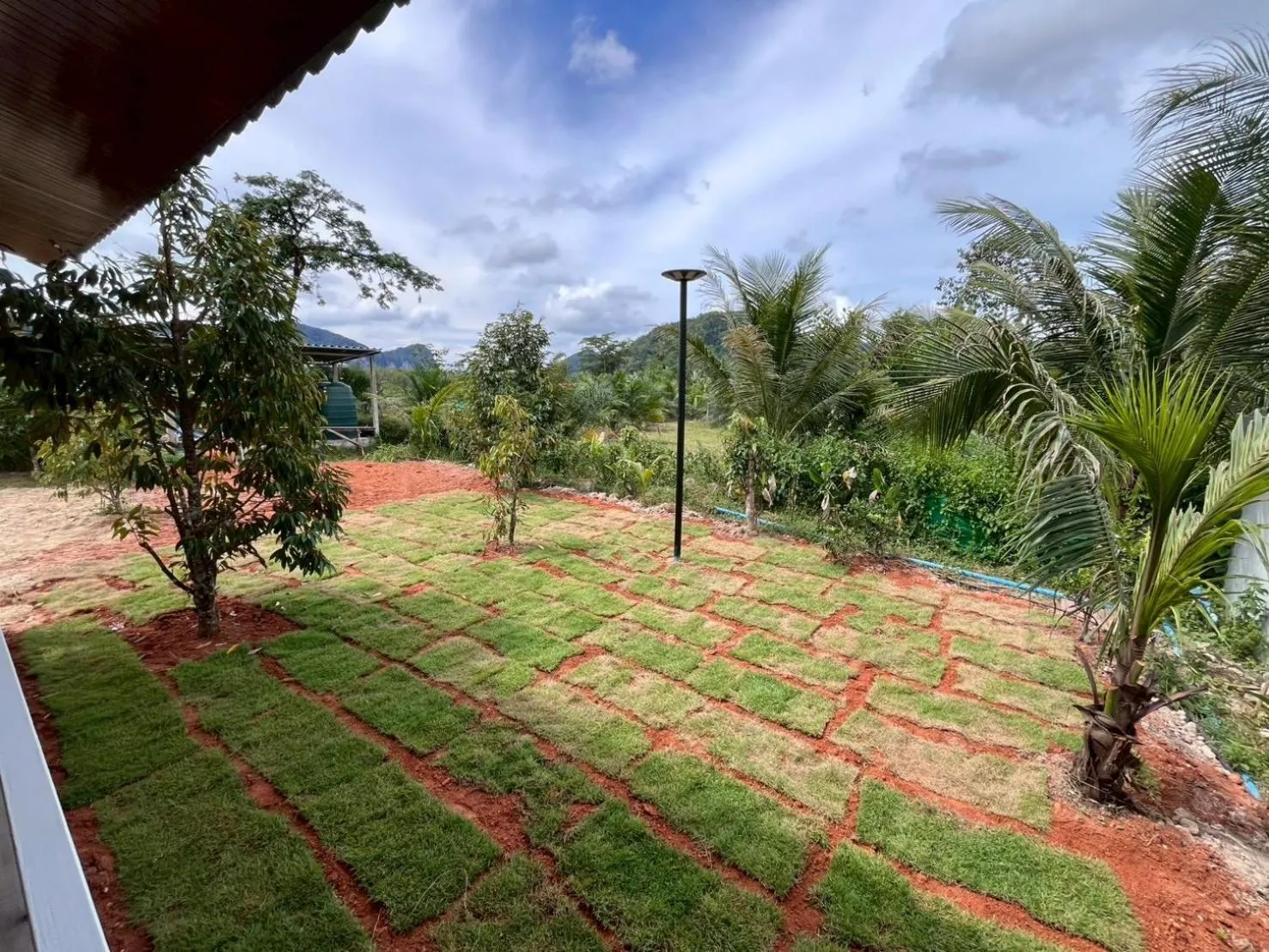 Garden in Marigold Aonang Resort