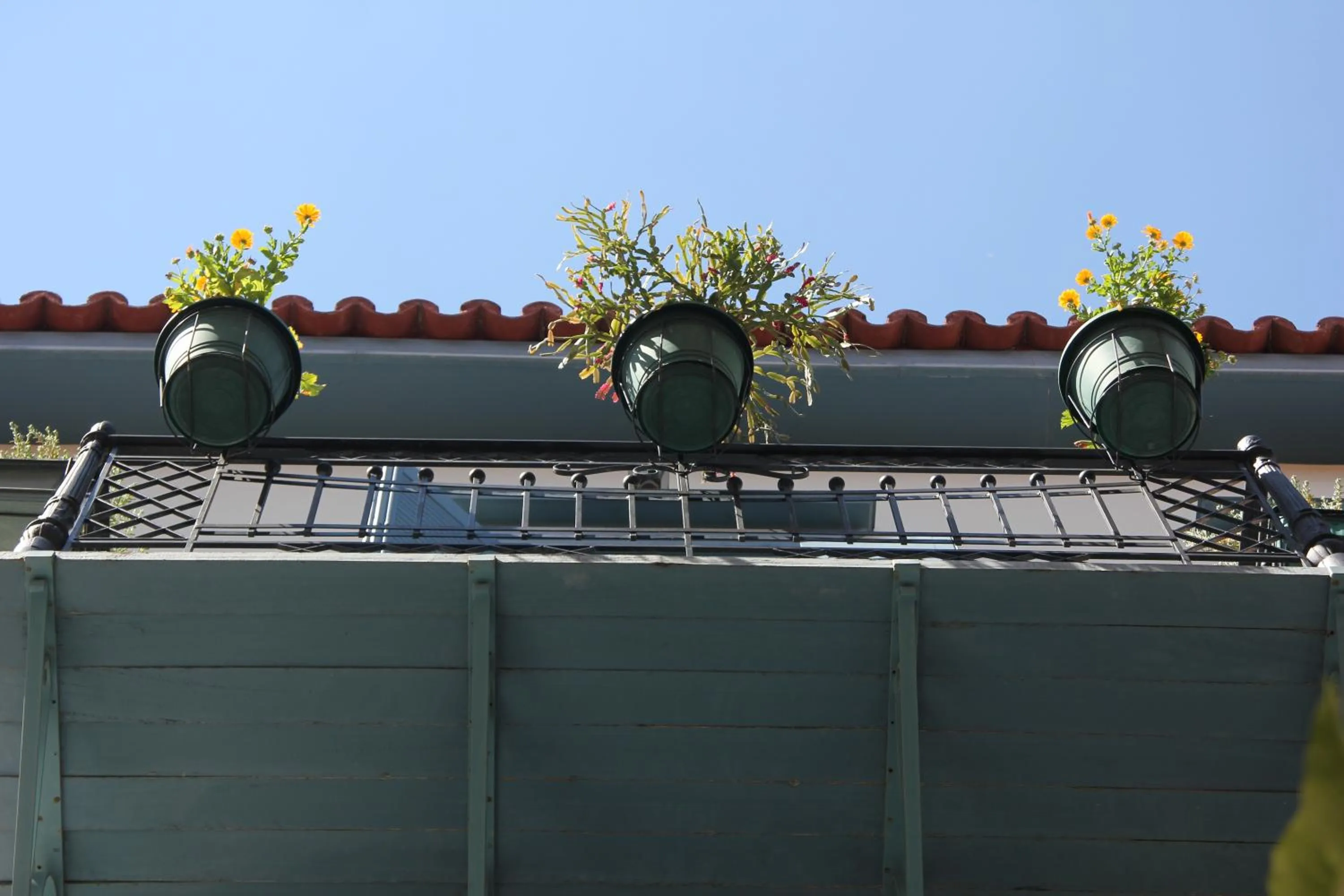 Facade/entrance in Polyxenia Hotel