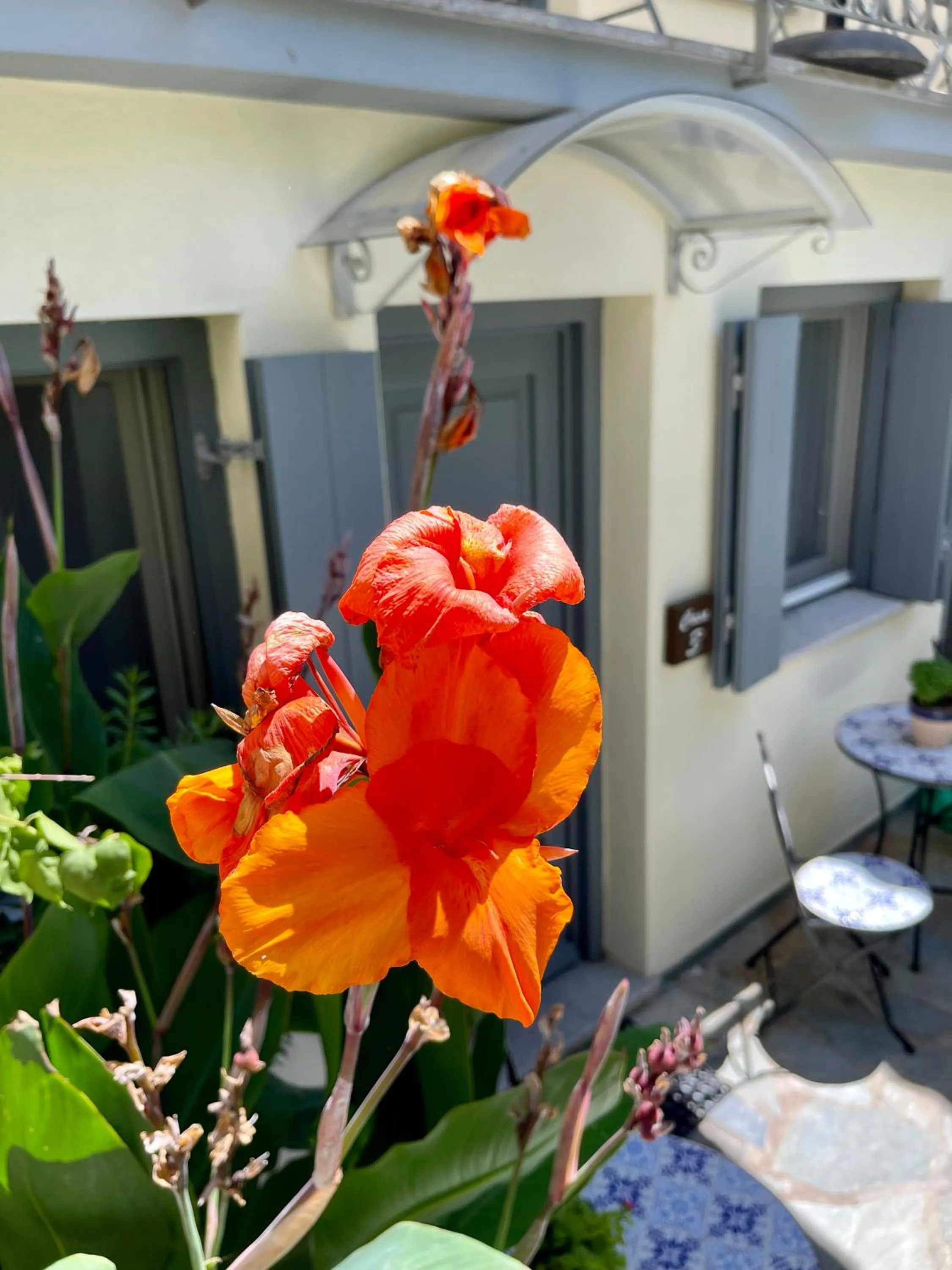 Day in Arxontiko Hotel