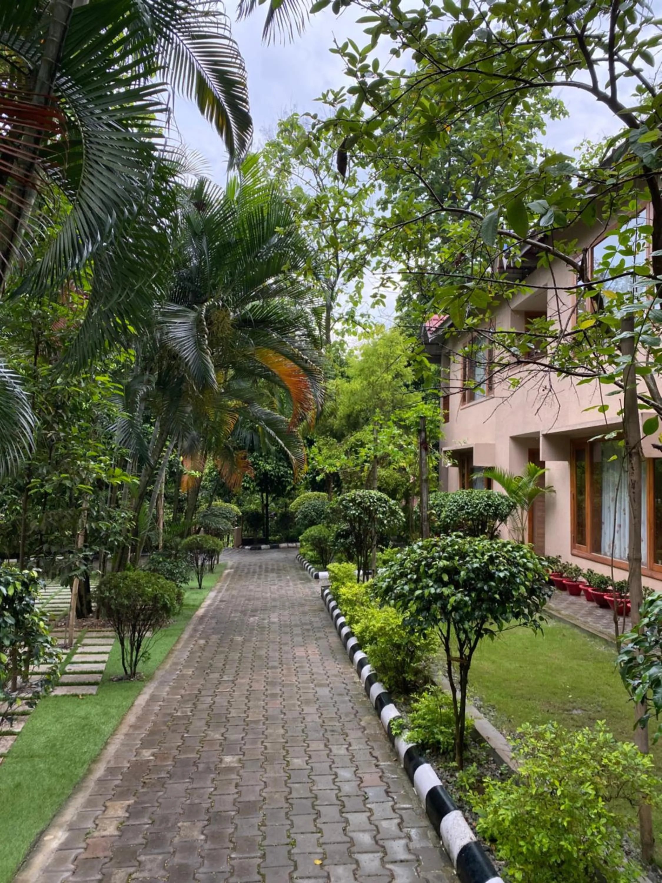 Garden in The Greenwood Resort, Guwahati
