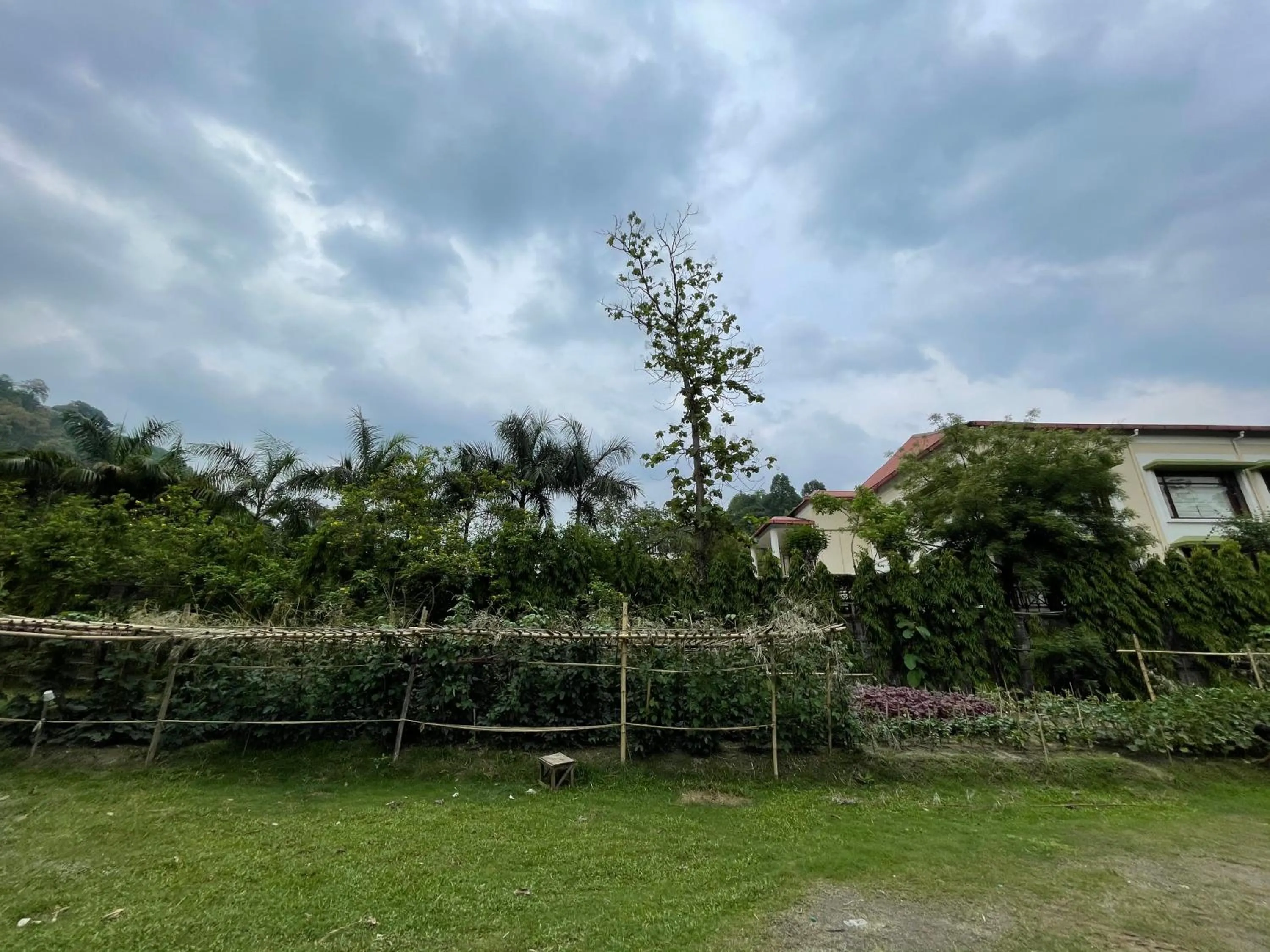 Garden in The Greenwood Resort, Guwahati