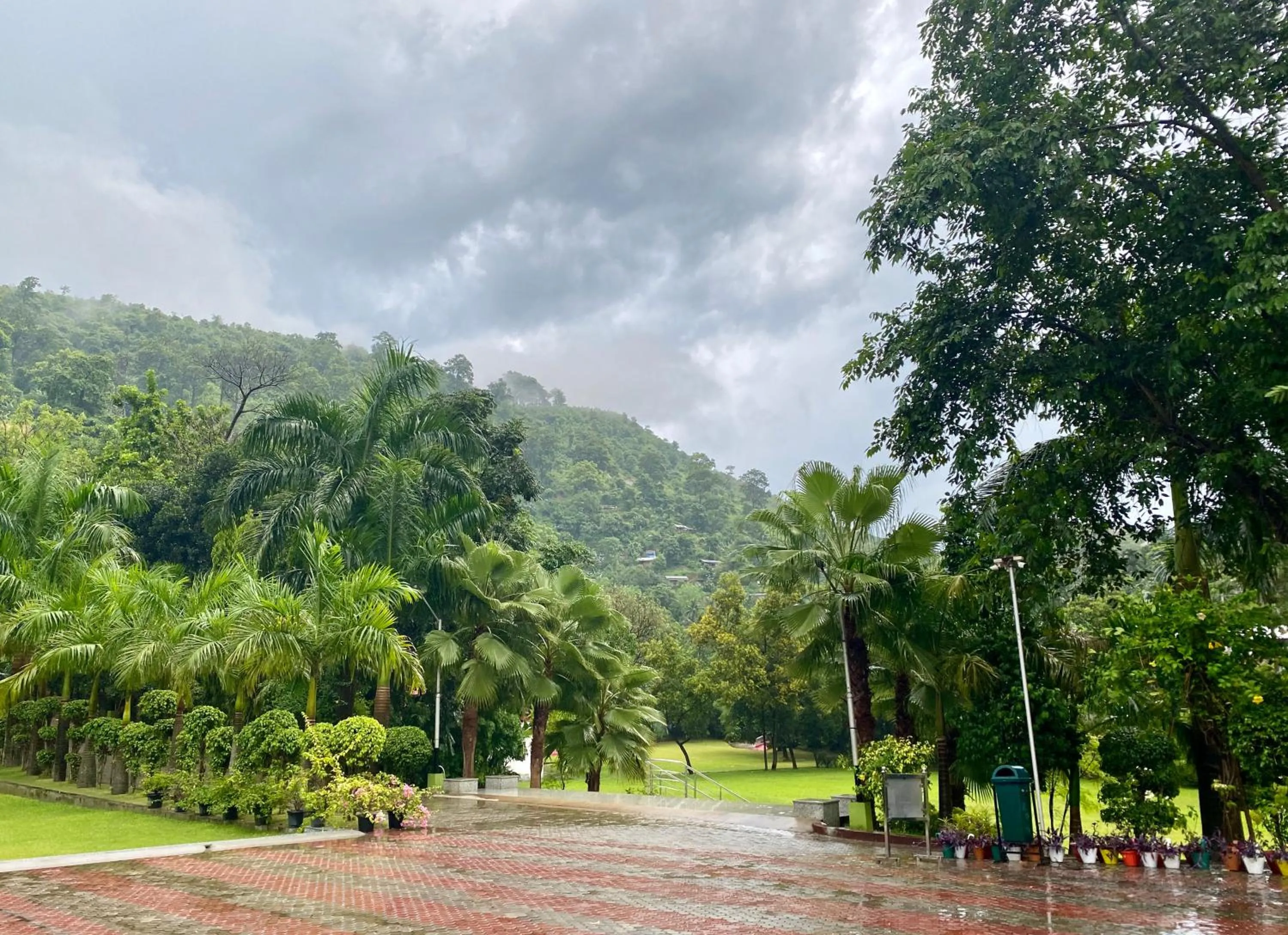 Natural landscape in The Greenwood Resort, Guwahati