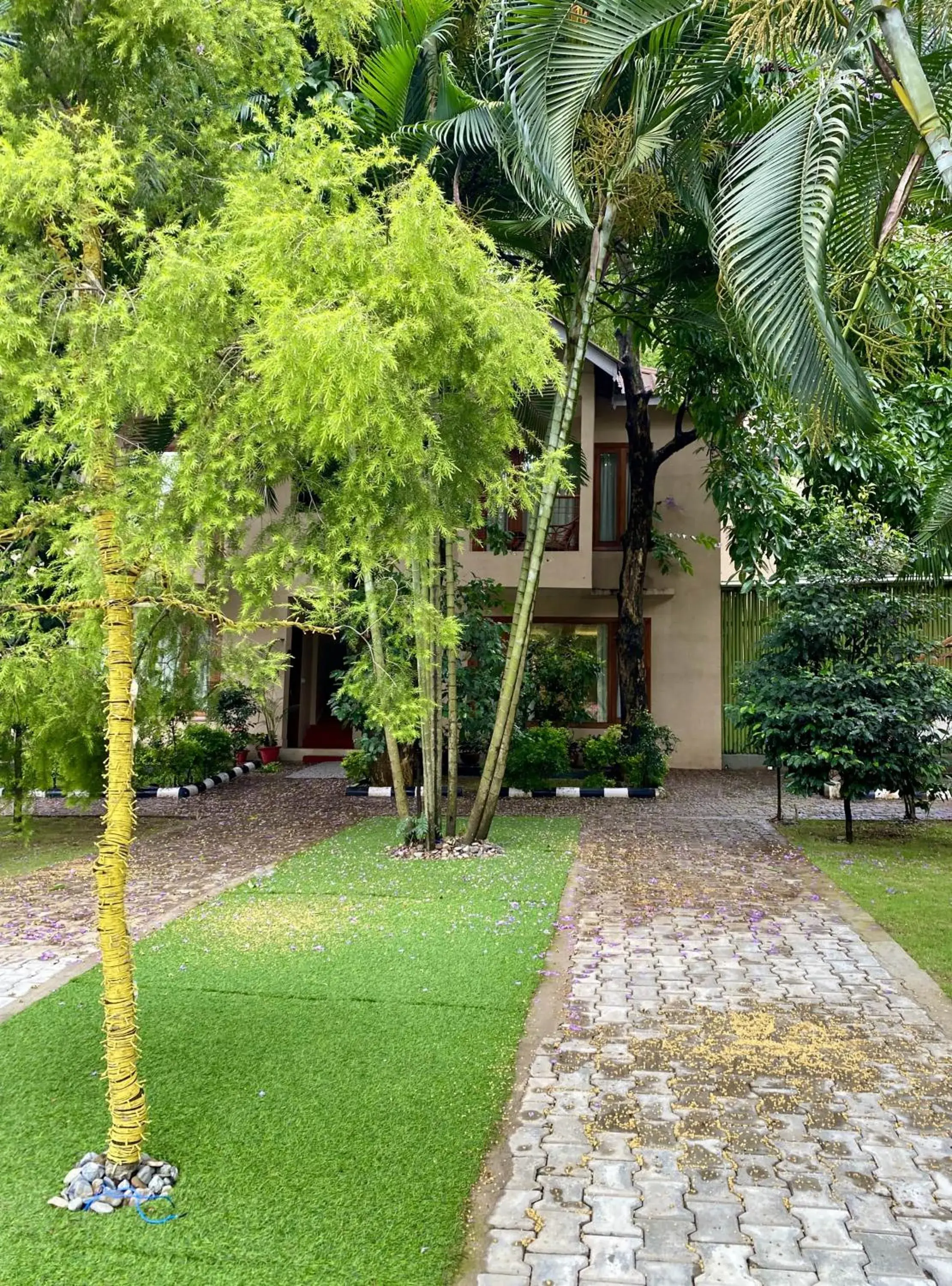 Garden view in The Greenwood Resort, Guwahati Garden view in The Greenwood Resort, Guwahati