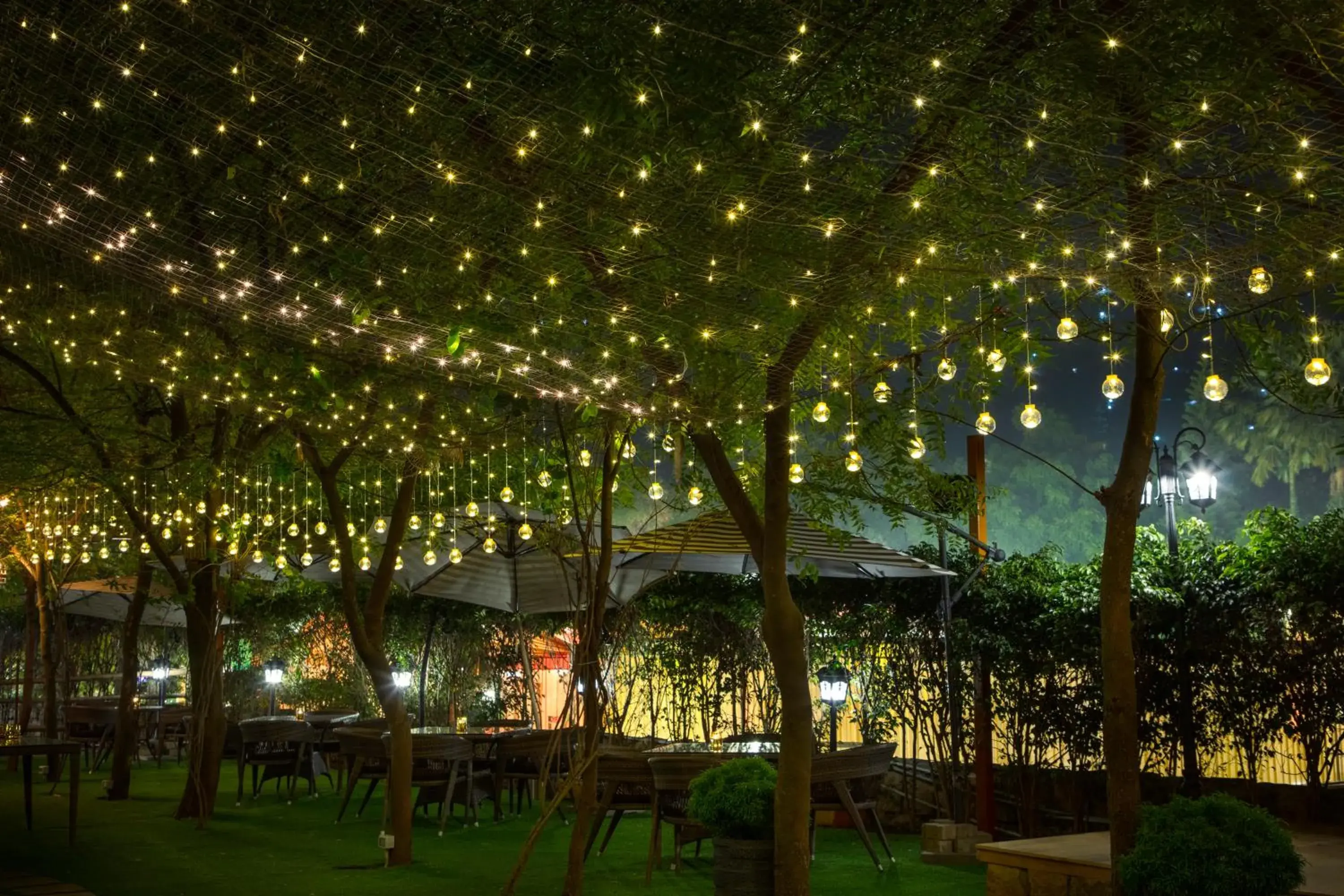 Lounge or bar in The Greenwood Resort, Guwahati Lounge or bar in The Greenwood Resort, Guwahati