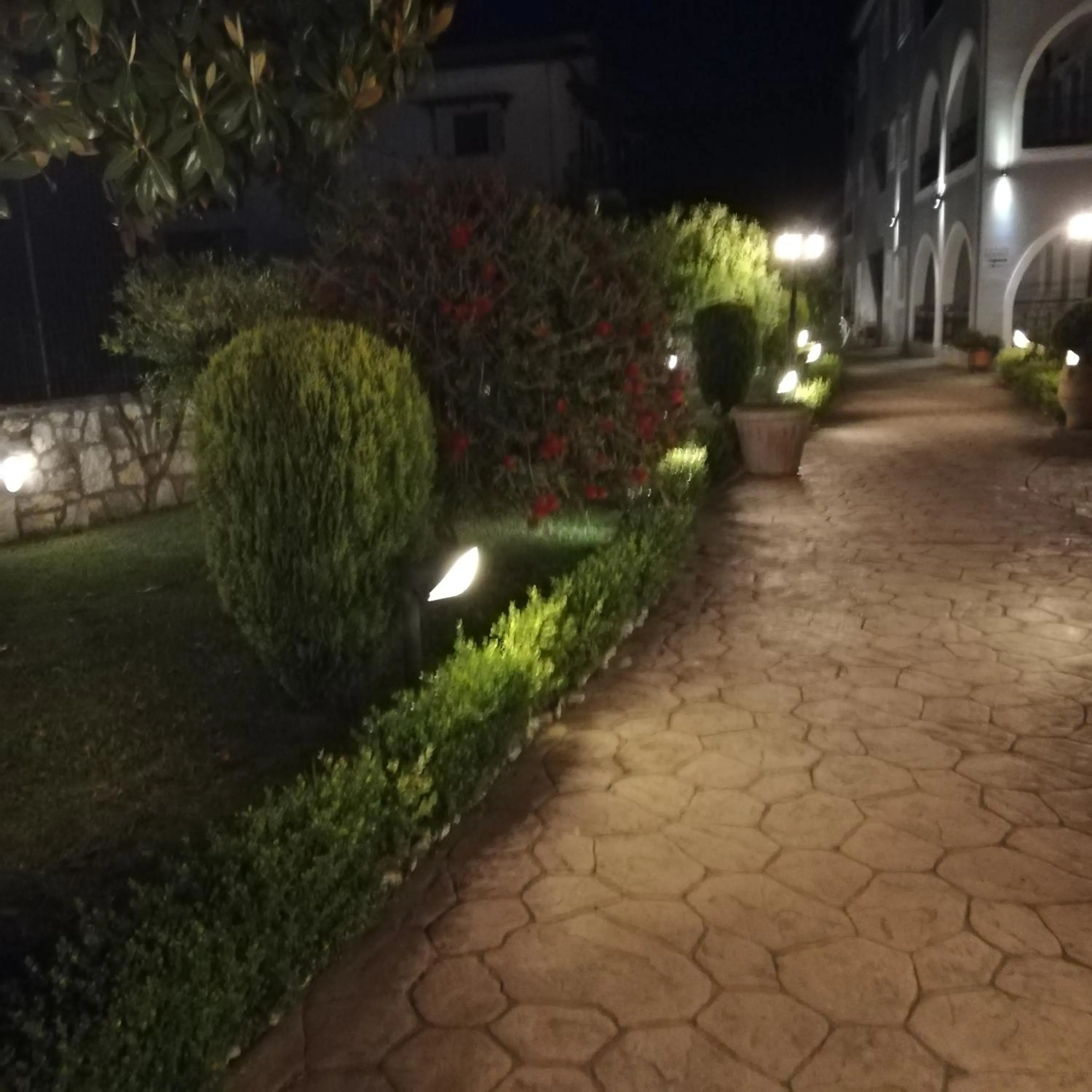 Delphin Rooms Sivota