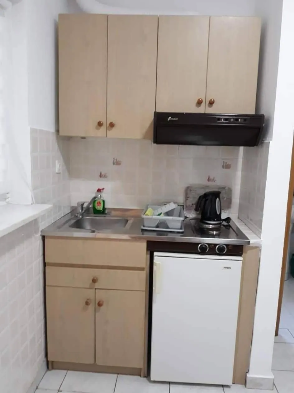 Kitchen or kitchenette in Delphin Rooms Sivota