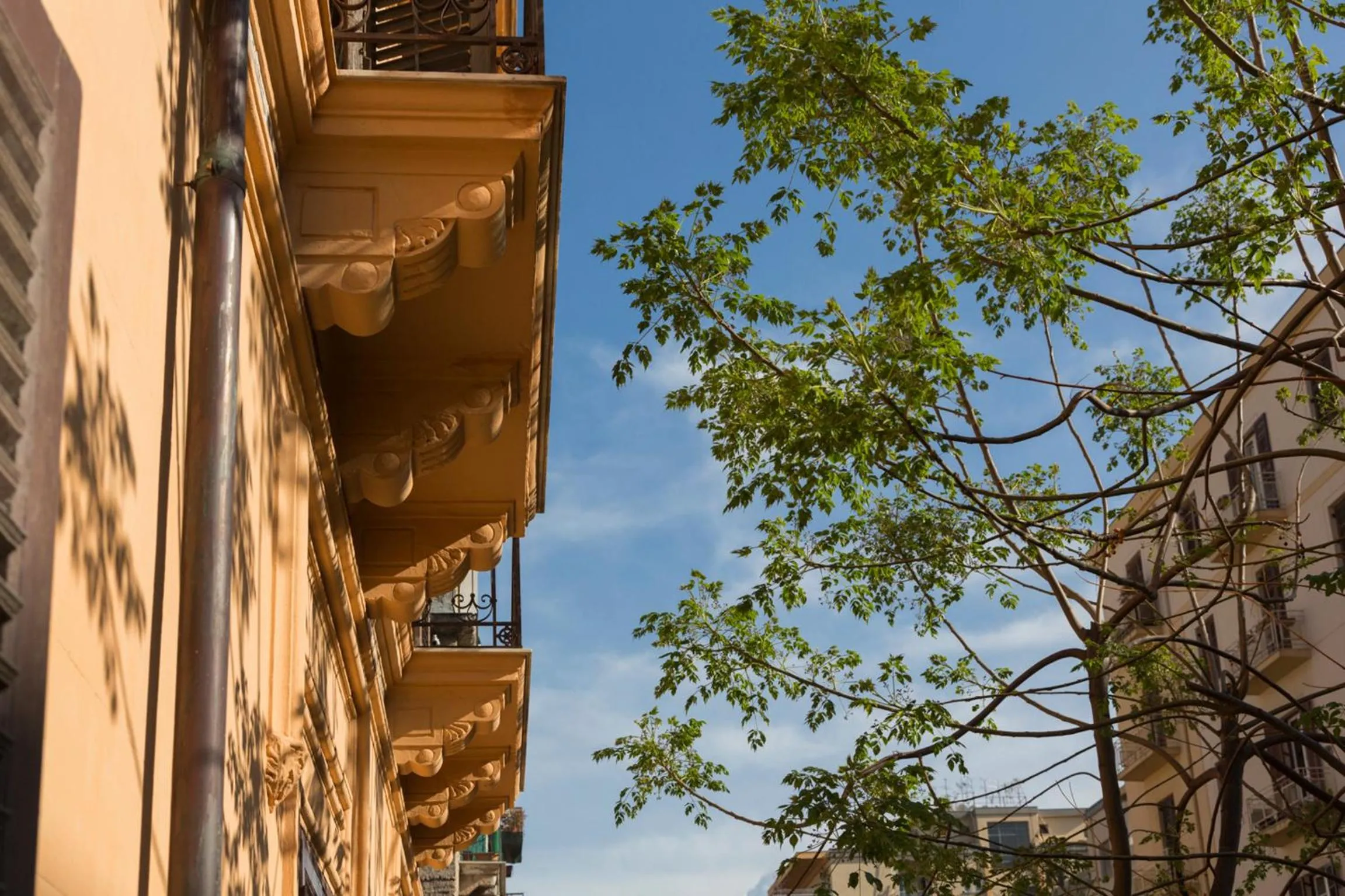 Property building in casa mo room and suite