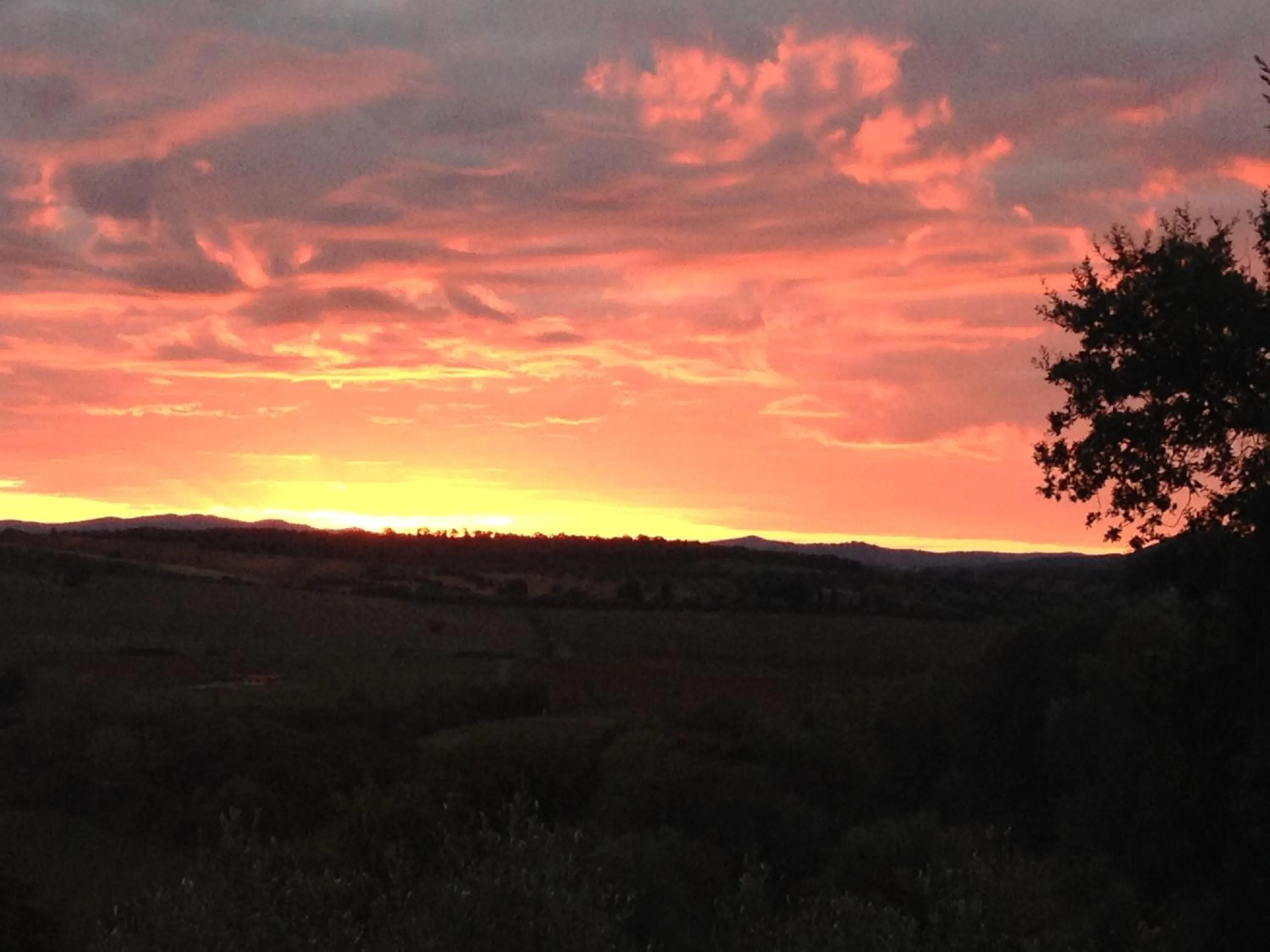 View (from property/room) in Le Tartarughe rooms