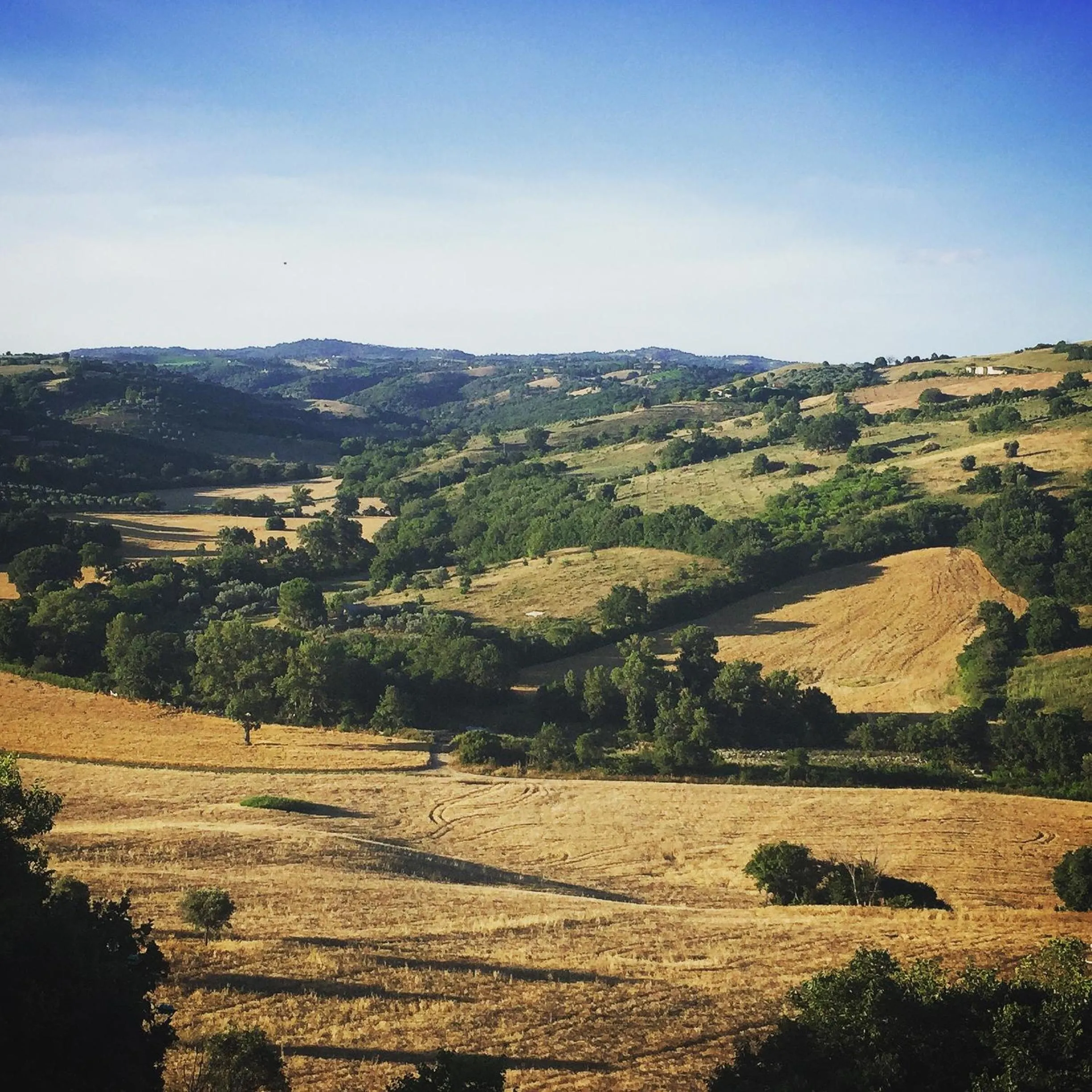 View (from property/room) in Le Tartarughe rooms