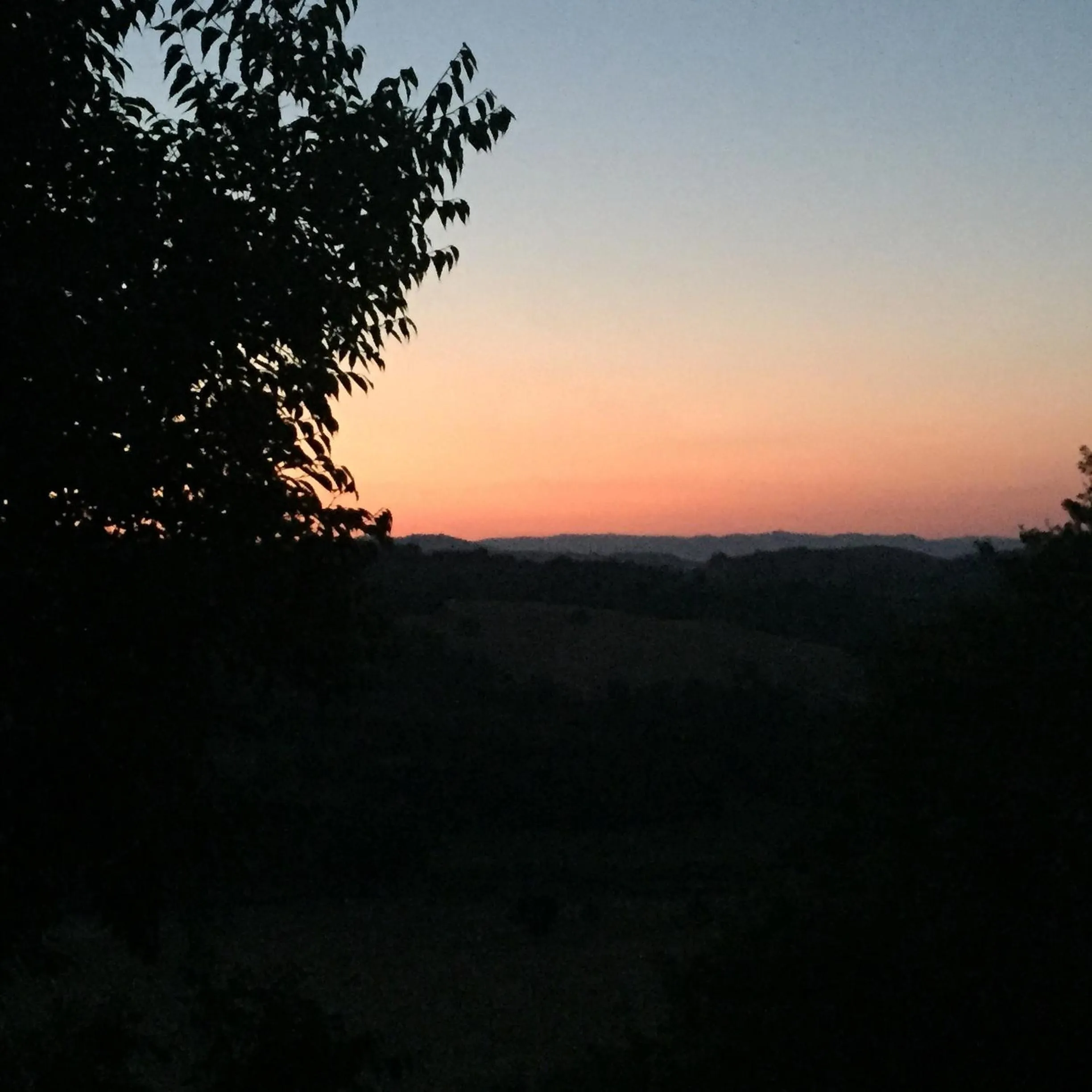 View (from property/room) in Le Tartarughe rooms