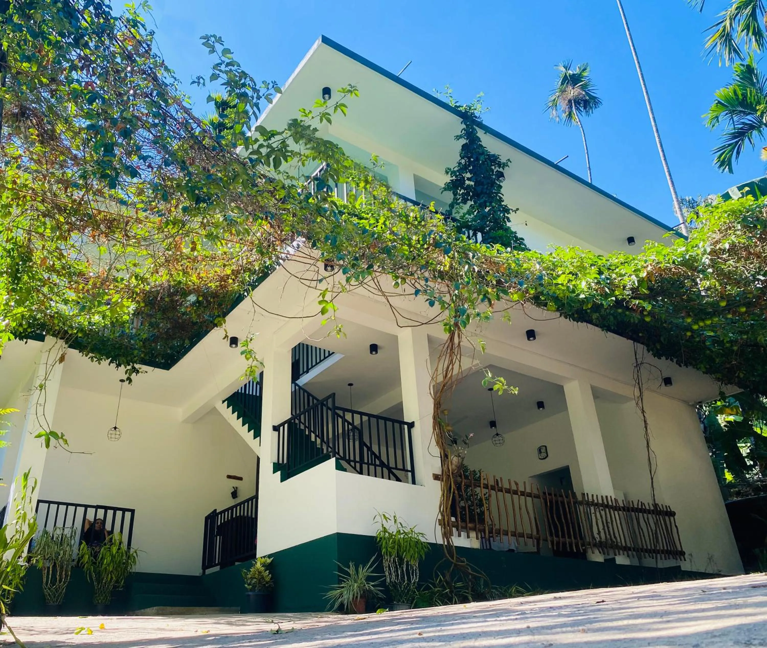 Property building in Misty Elegance - Ella.